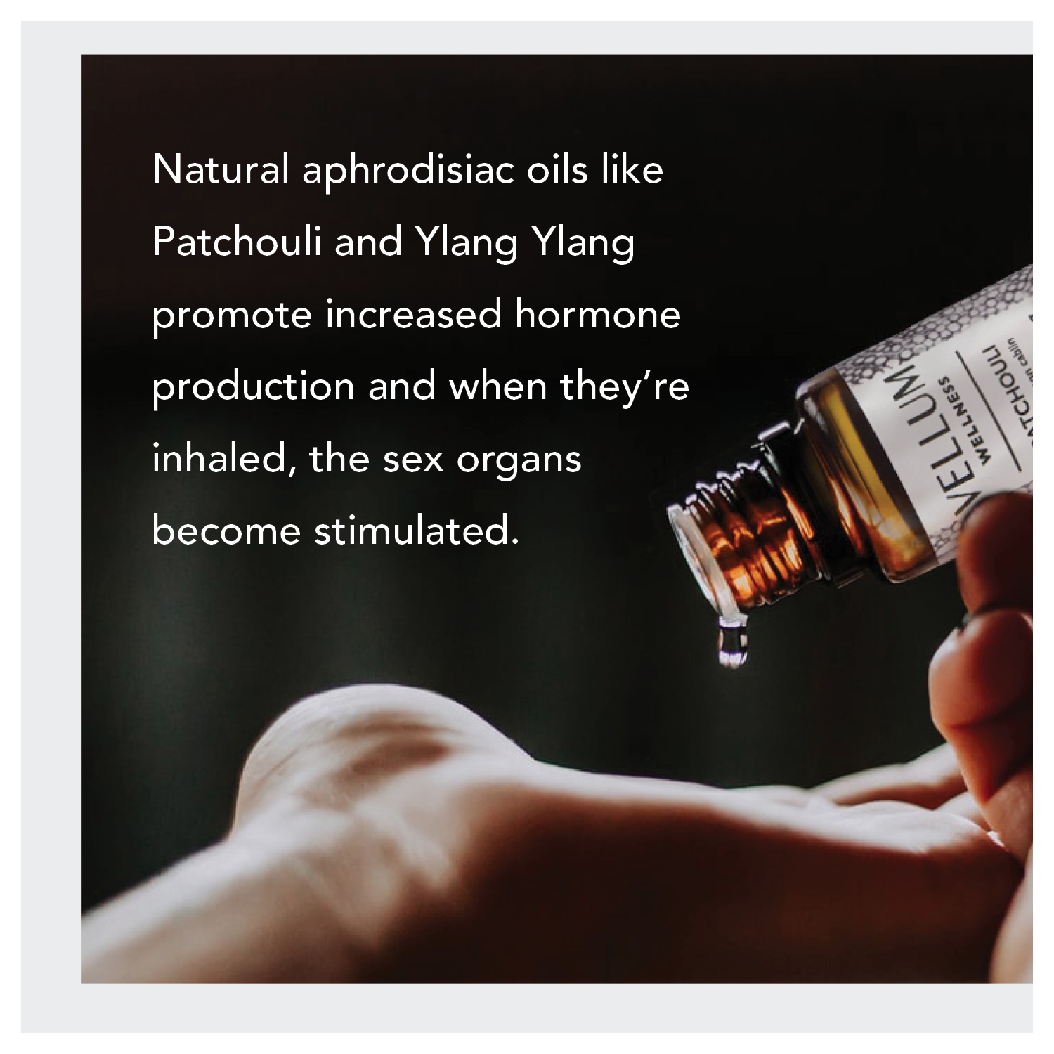 Vellum Wellness Essential Oil Aphrodisiac Kit with natural products Almond, Ylang Ylang and Patchouli for Intimacy, Relaxation & Sensual Wellness