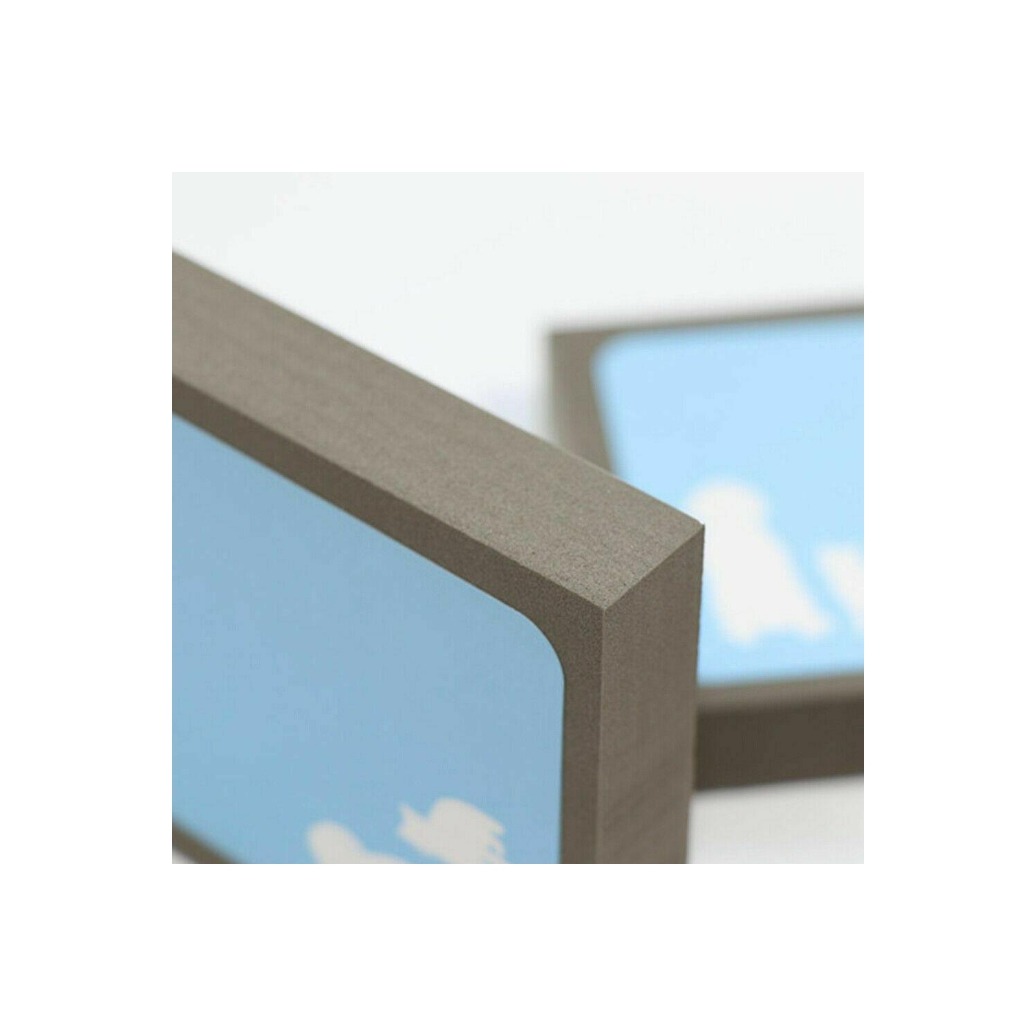 Dog Cat Pet Hair remover Cleaner Carpet Sofa Foam Sponge Fur Remover Reusable