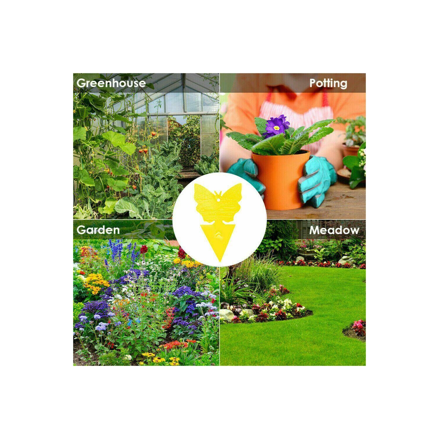 Nouveau paquet de 12 pièges collants jaunes, pièges à mouches aux fruits et pièges à jus pour l’intérieur et l’extérieur des États-Unis