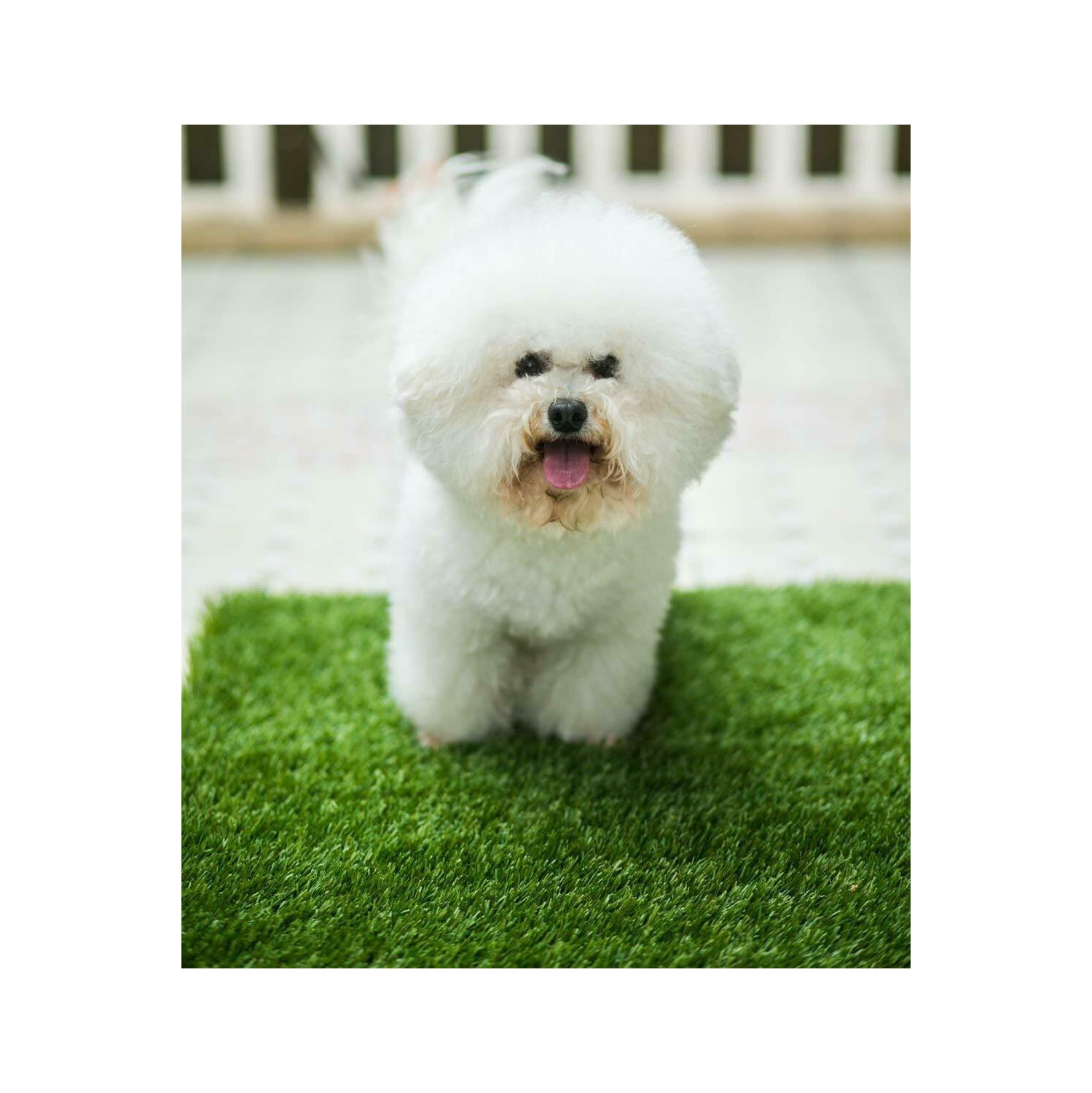 Tapis d'apprentissage de la propreté pour chien d'intérieur toilette portative grand coussin Loo avec plateau