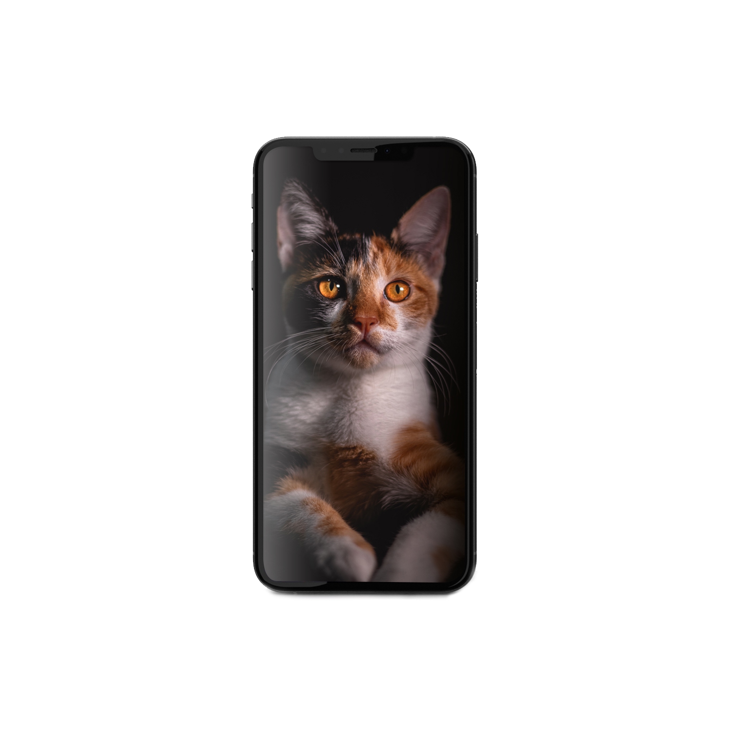 Apple iPhone Xs Max 256GB Unlocked - Silver