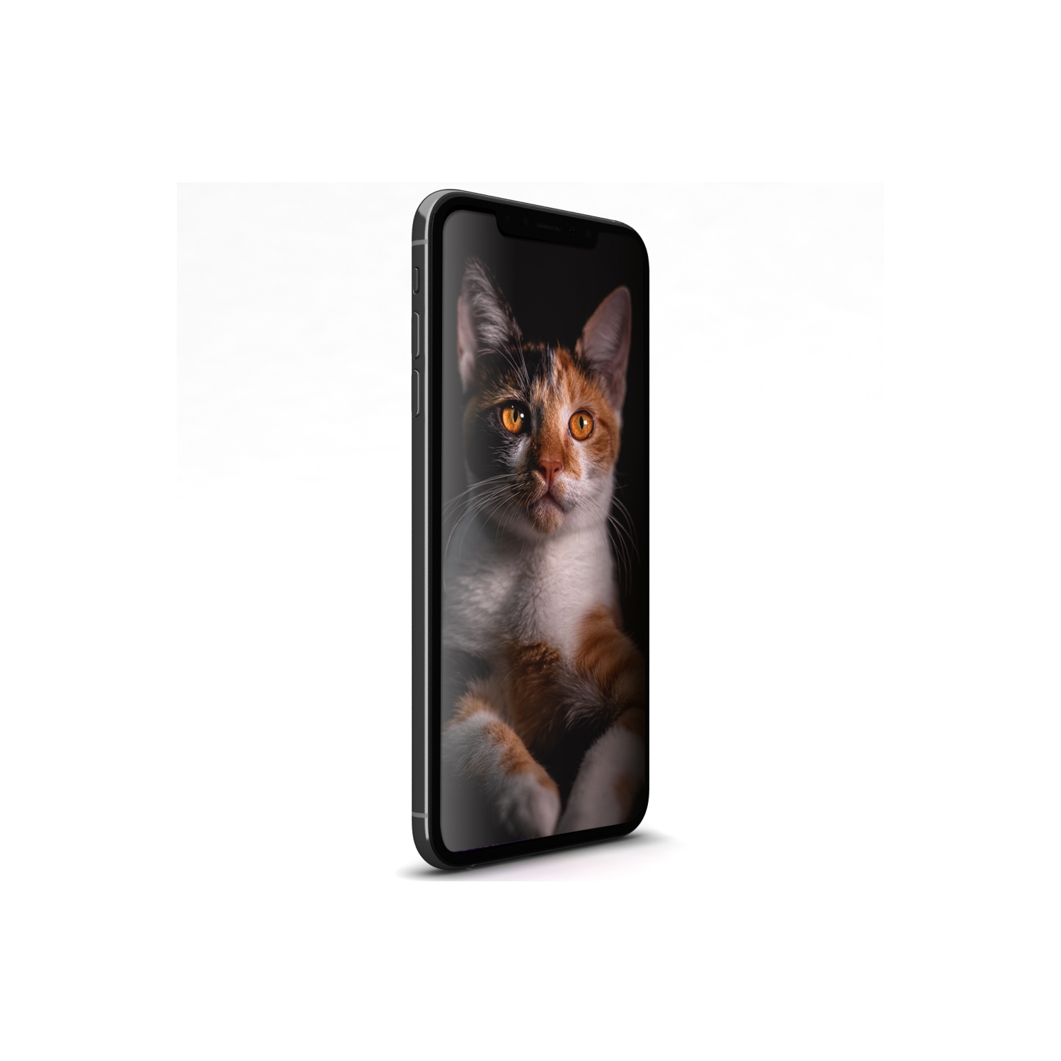 Apple iPhone Xs Max 256GB Unlocked - Silver