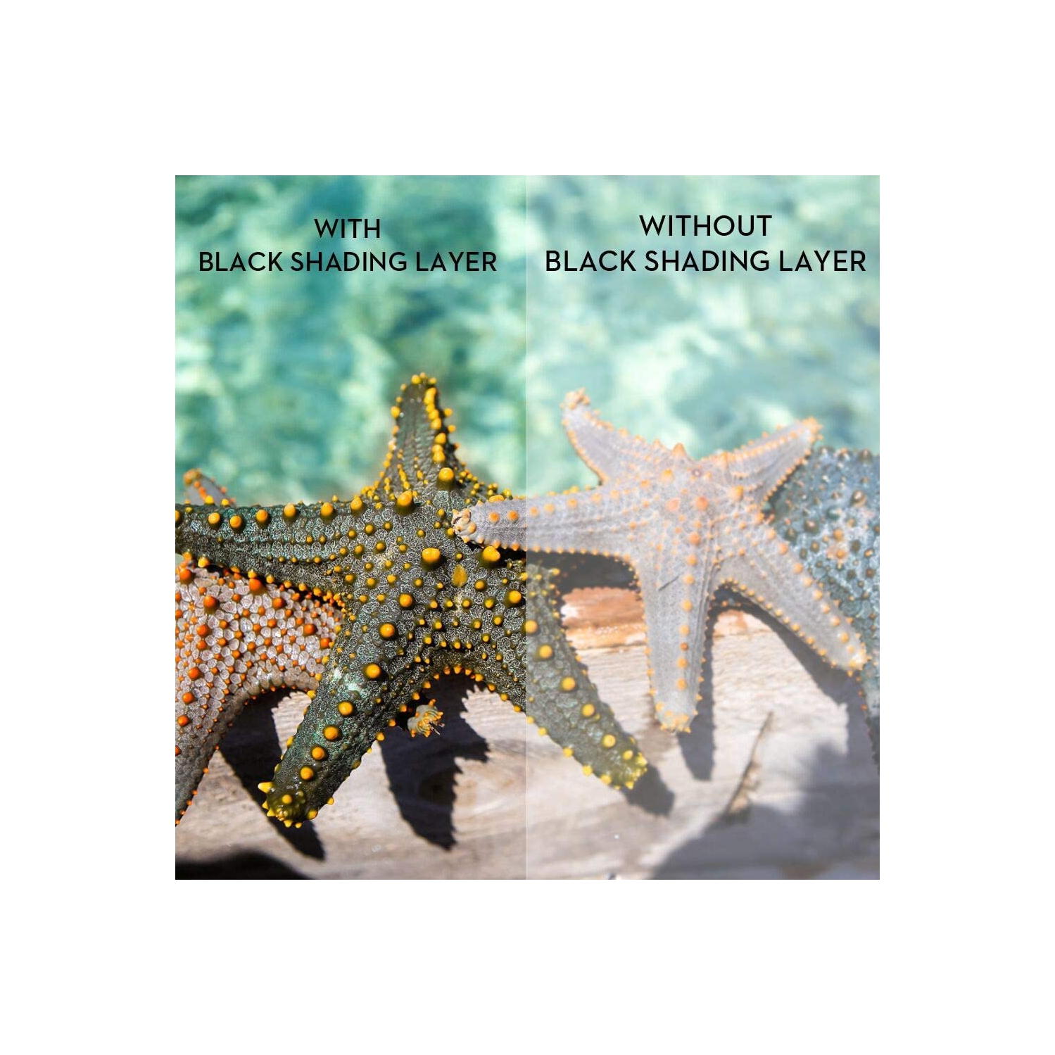 Écran de projection double couche 120 pouces 16: 9 Écran de projection portable 3D avec moins de transmission de la lumière pour le cinéma maison