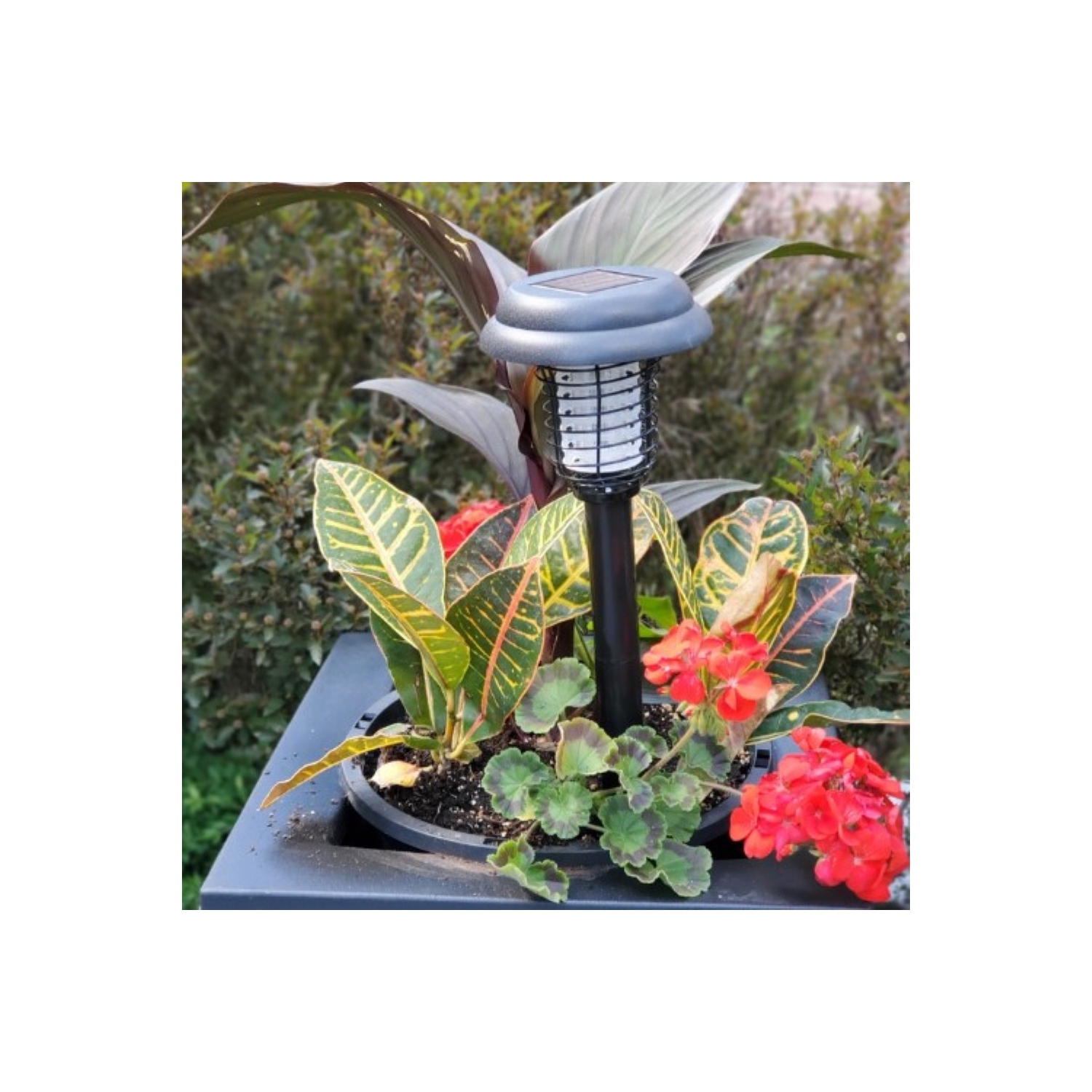 Lanterne solaire/sur piquet 2-en-1 GREENSTRIKE - 964