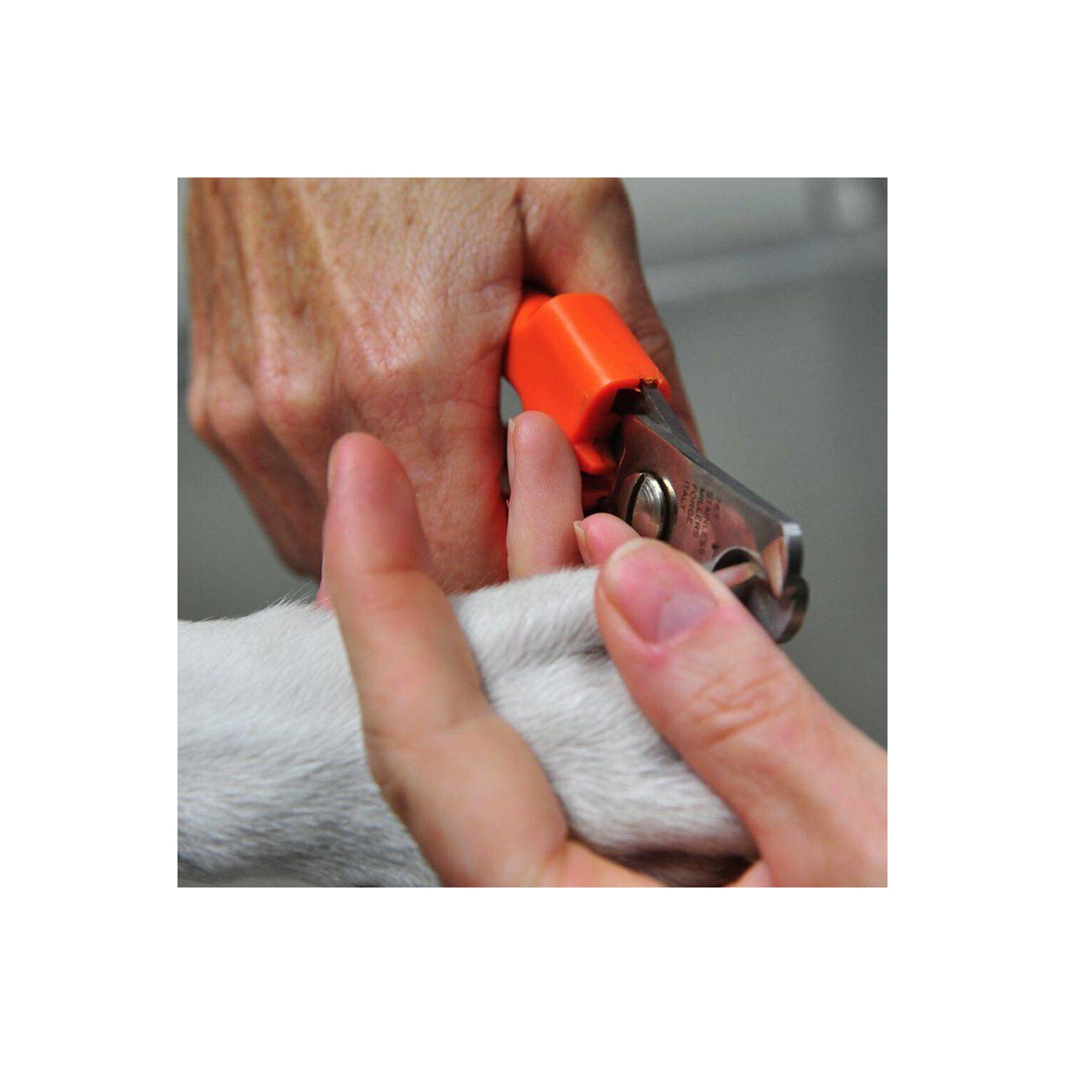 New Pet Nail Clipper Cutter Scissors Dog Cat Rabbit Toe Claw Paw Grooming Shears