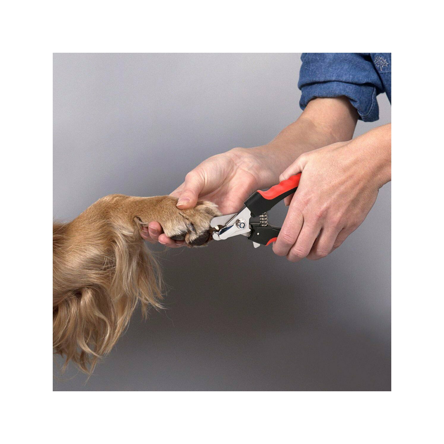 New Pet Nail Clipper Cutter Scissors Dog Cat Rabbit Toe Claw Paw Grooming Shears