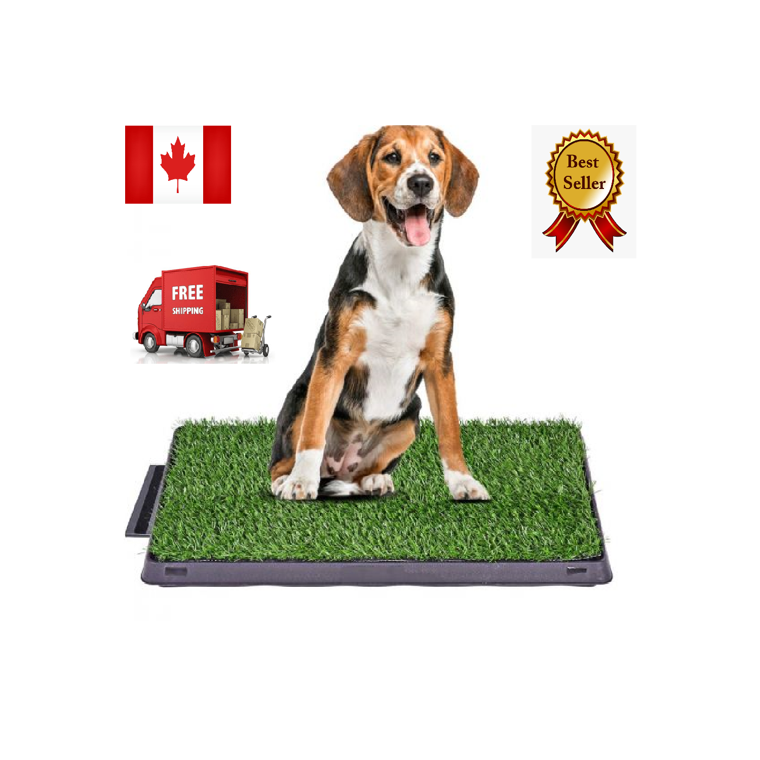 Bac à petits pots portatif pour chien Grass pour la salle de bains, solution de rechange pour l'intérieur