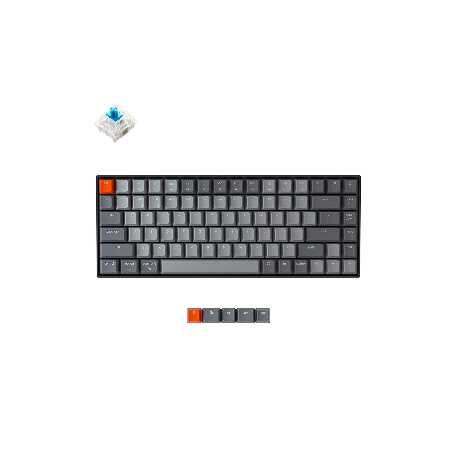 Keychron K2 V2 Wireless Mechanical Keyboard - Black - White LED - Gateron Blue - TKL Layout - Windows Mac OS Linux Android (K2-A2)