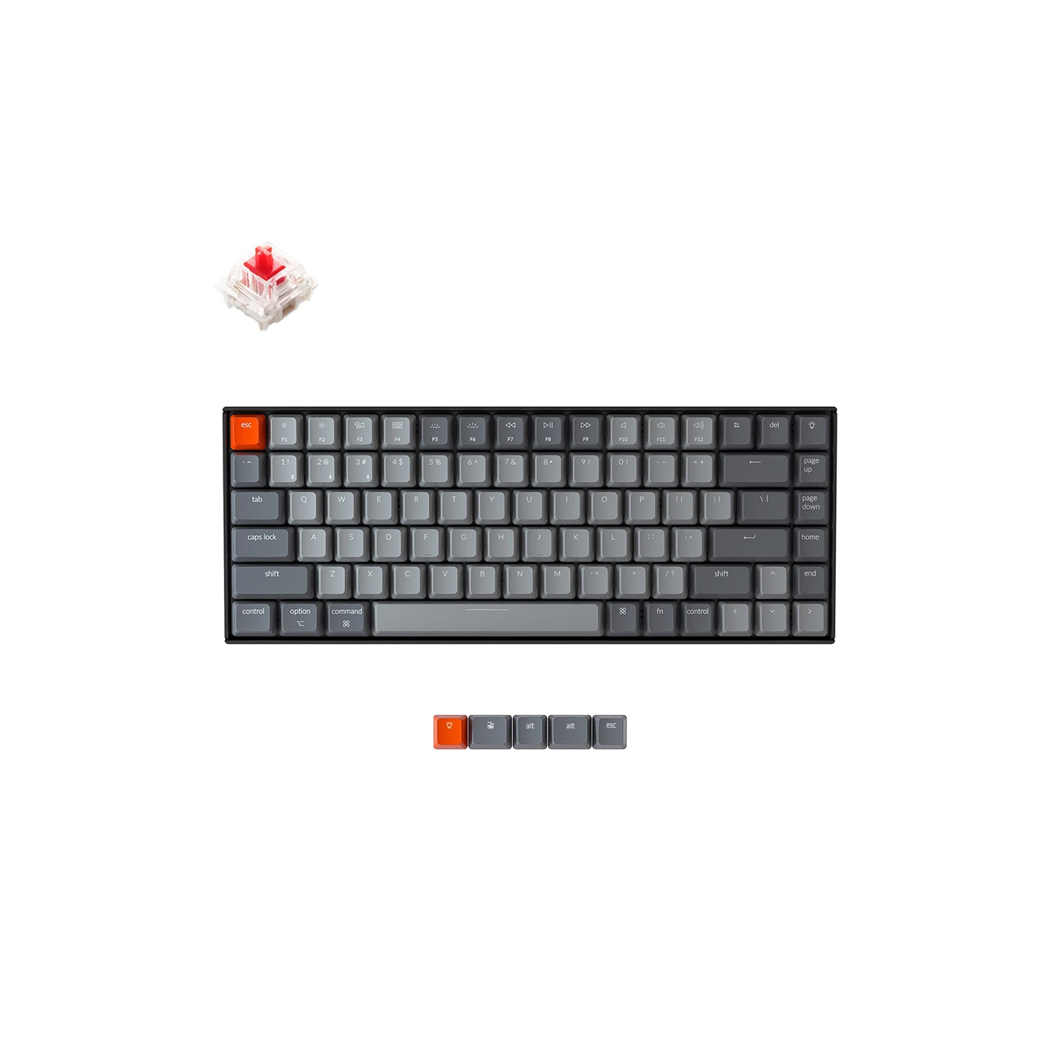 Keychron K2 V2 Wireless Mechanical Keyboard - Black - White LED - Gateron Red - TKL Layout - Windows Mac OS Linux Android (K2-A1)