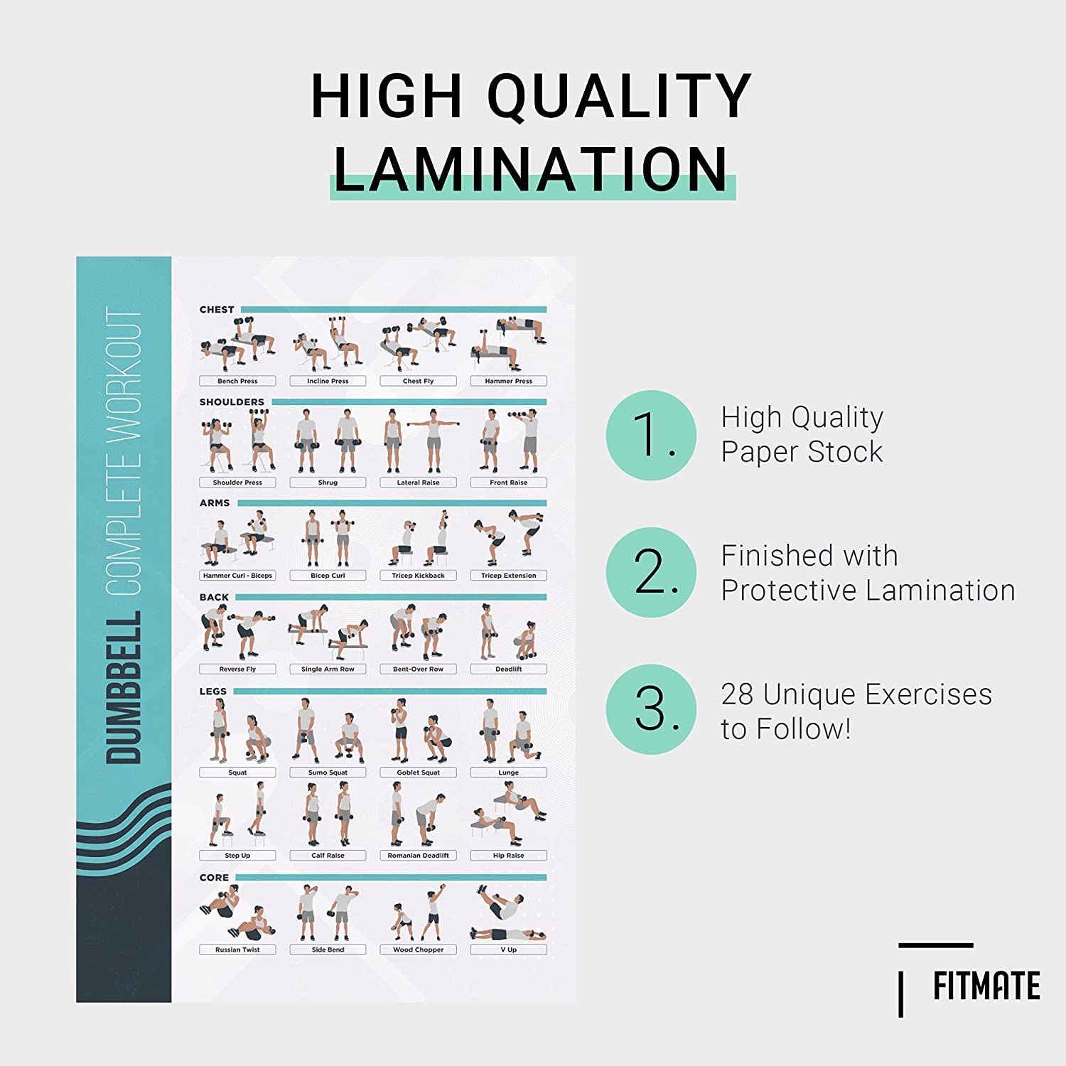 FitMate Dumbbell and Barbell Bundle Workout Exercise Poster - Workout Routine with Free Weights, Home Gym Decor, Room Guide