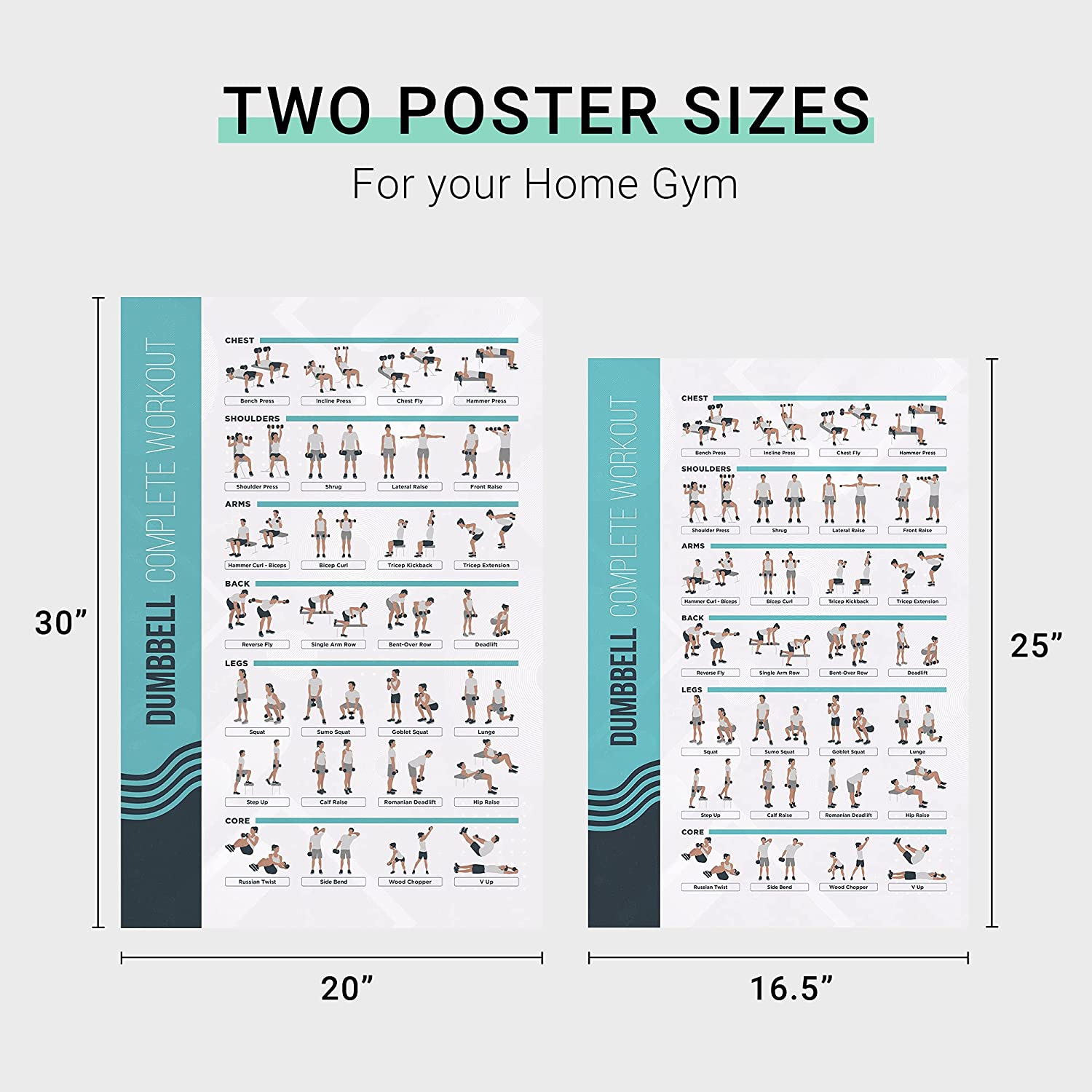 FitMate Dumbbell and Barbell Bundle Workout Exercise Poster - Workout Routine with Free Weights, Home Gym Decor, Room Guide