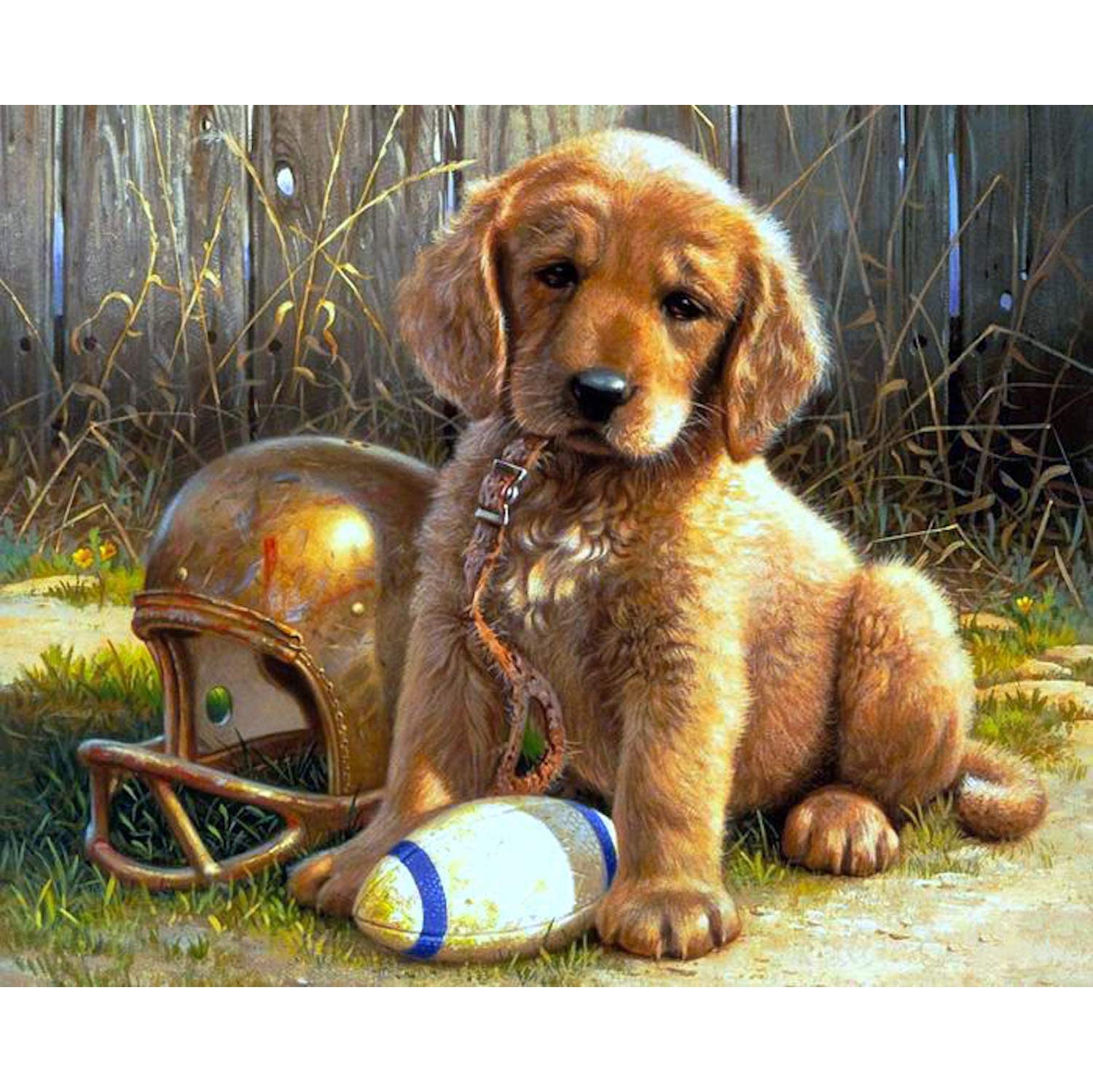 KOTART 5D Diamond Painting Full Drill16x20" Cute Puppy Gemstone Paint Set with Tools, Accessories, Dog DIY Diamond Cross Stit