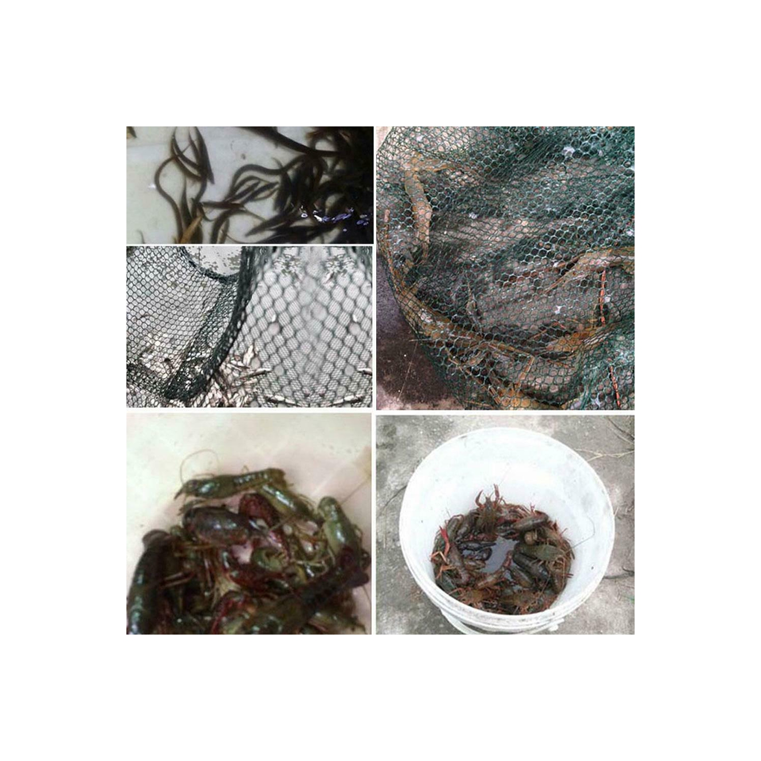 Folding Portable Automatic Fishing Net Fish Minnow Shrimp Crab Mesh Trap (B