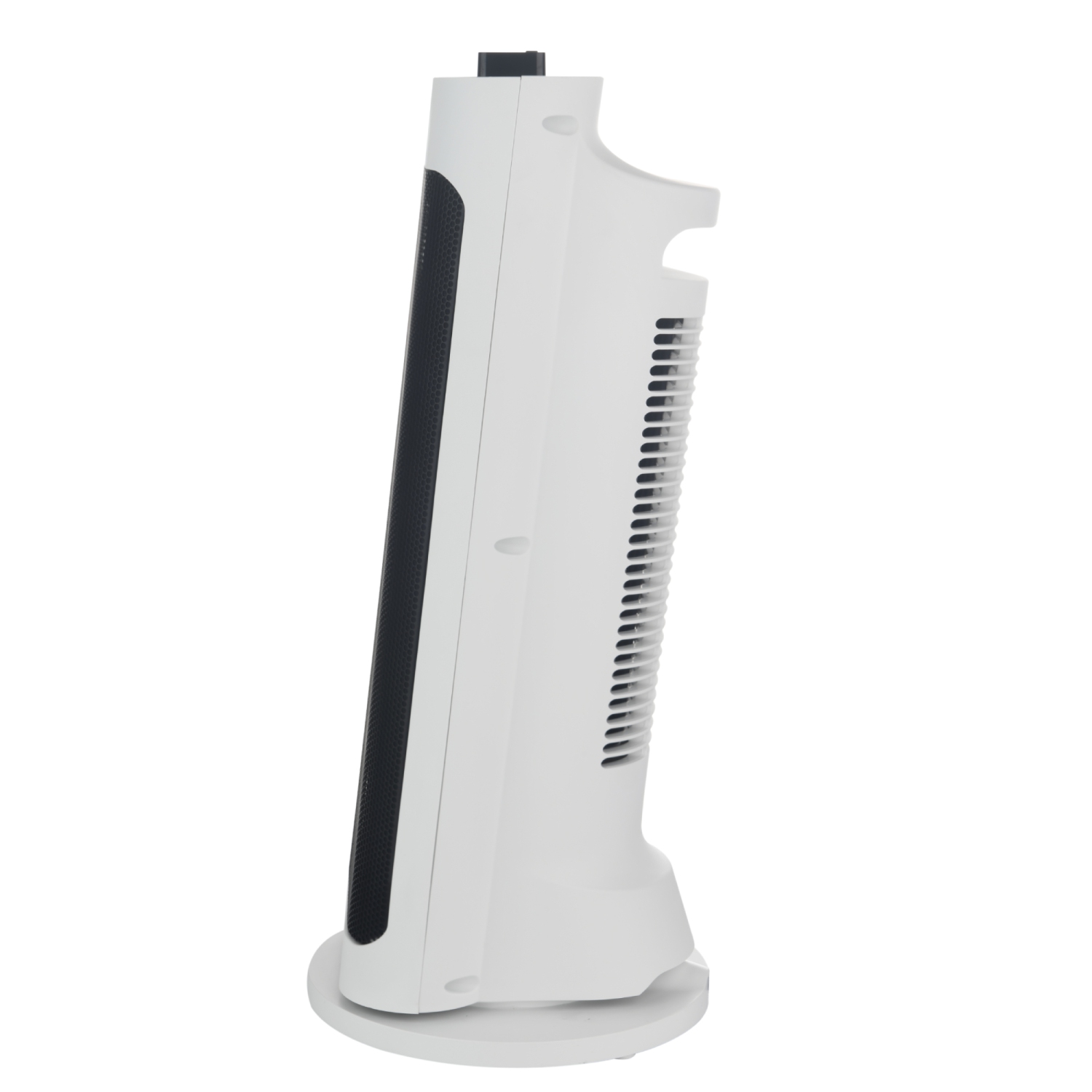 Ecohouzng Oscillating Tower Ceramic Fan Heater with Remote Control