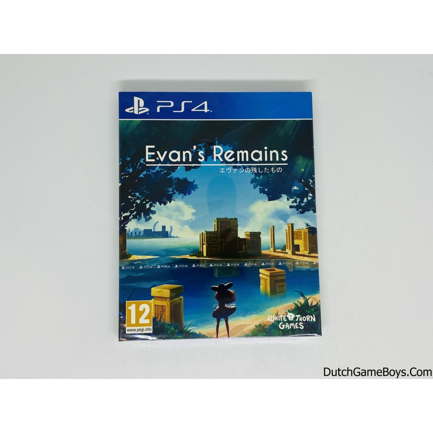PS4 - EVAN'S REMAINS [RED ART GAMES]