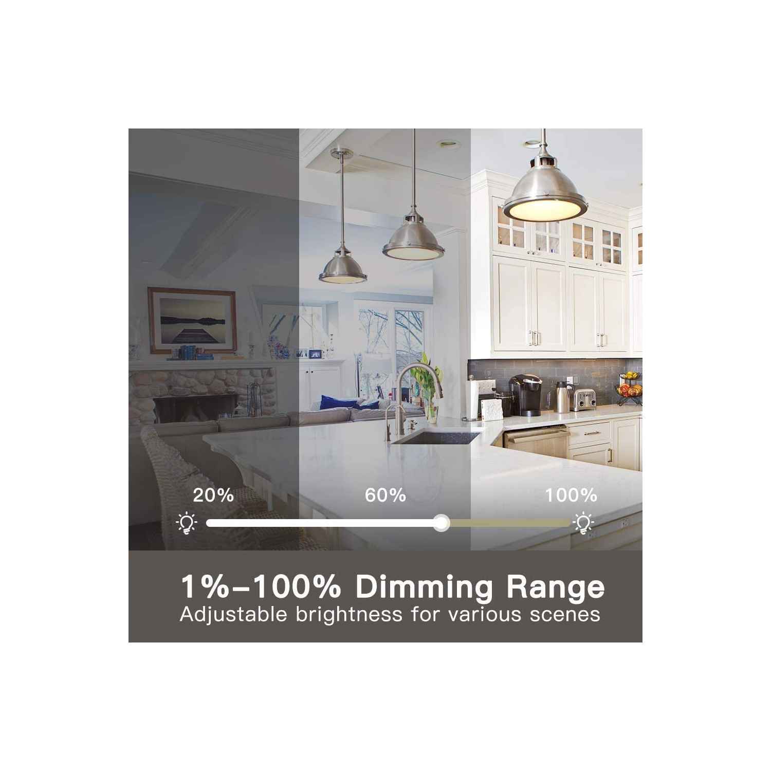 Treatlife Single Pole Smart Dimmer Switch, Works with dimmable LED/ halogen/incandescent bulbs, Alexa & Google Home compatible