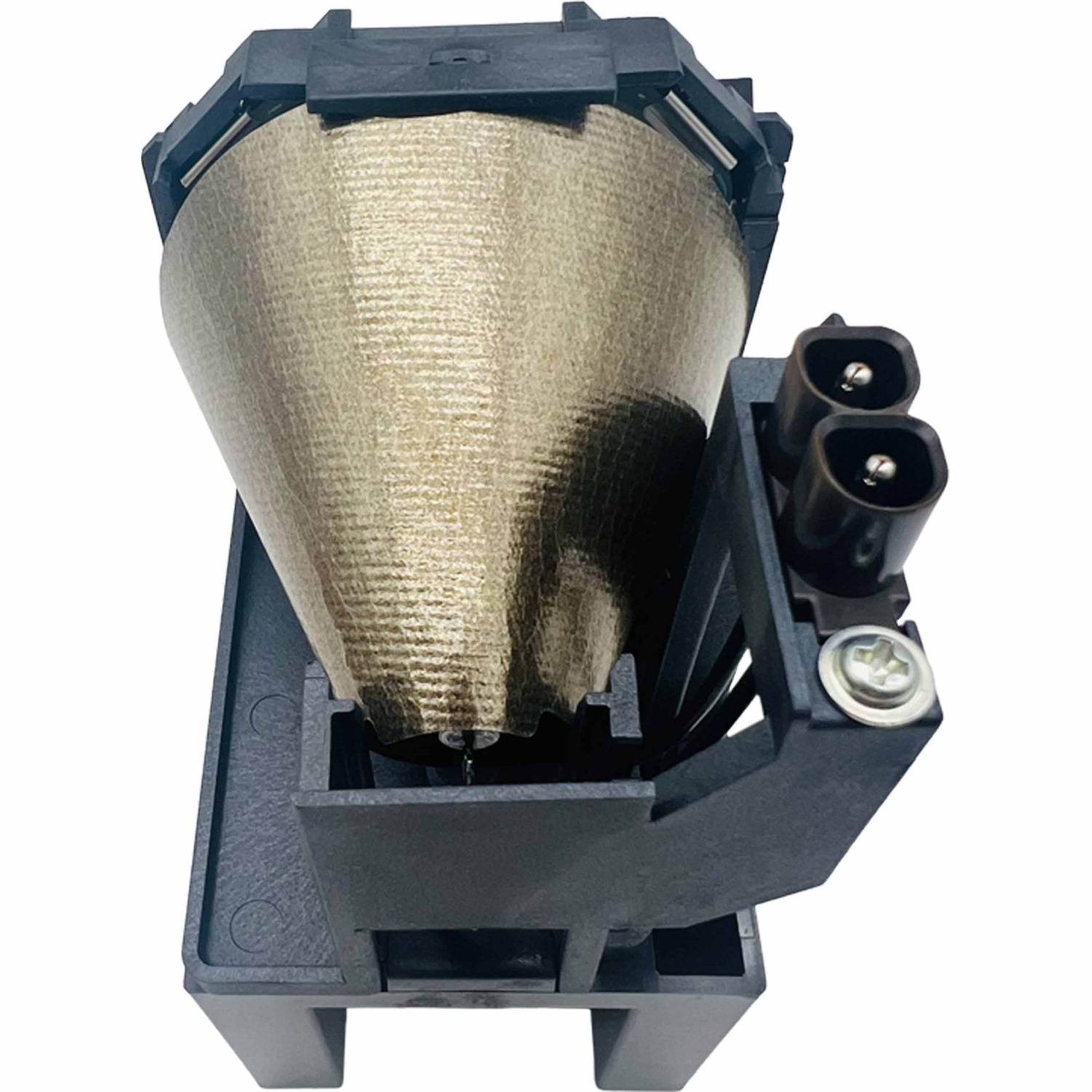 Panasonic Original Lamp & Housing for The PT-FW100NT Projector - 1 Year Warranty