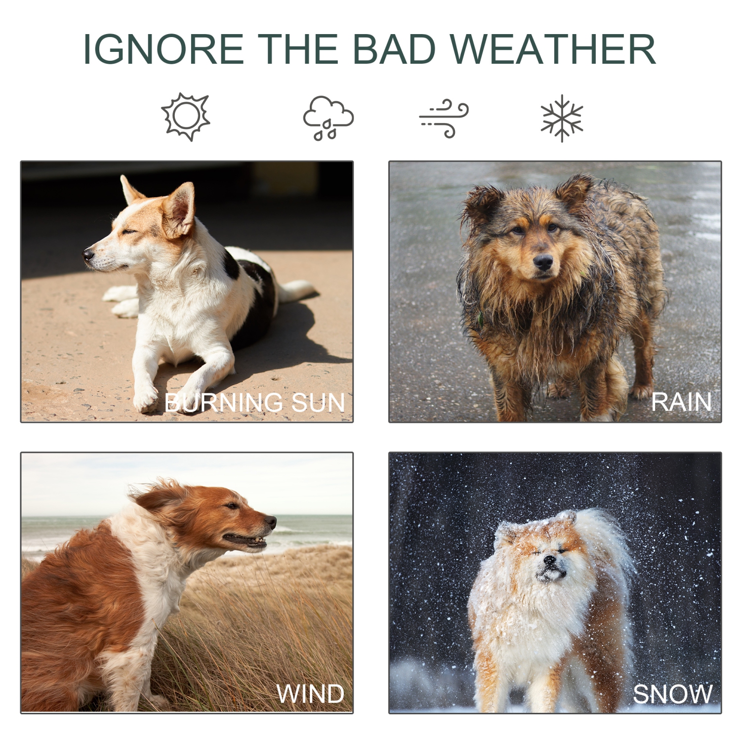 PawHut 8' x 4' x 6' Dog Run Outdoor, Large Outdoor Dog Kennel Welded Wire Steel Fence with UV-Resistant & Waterproof Cover, Secure Lock, Silver