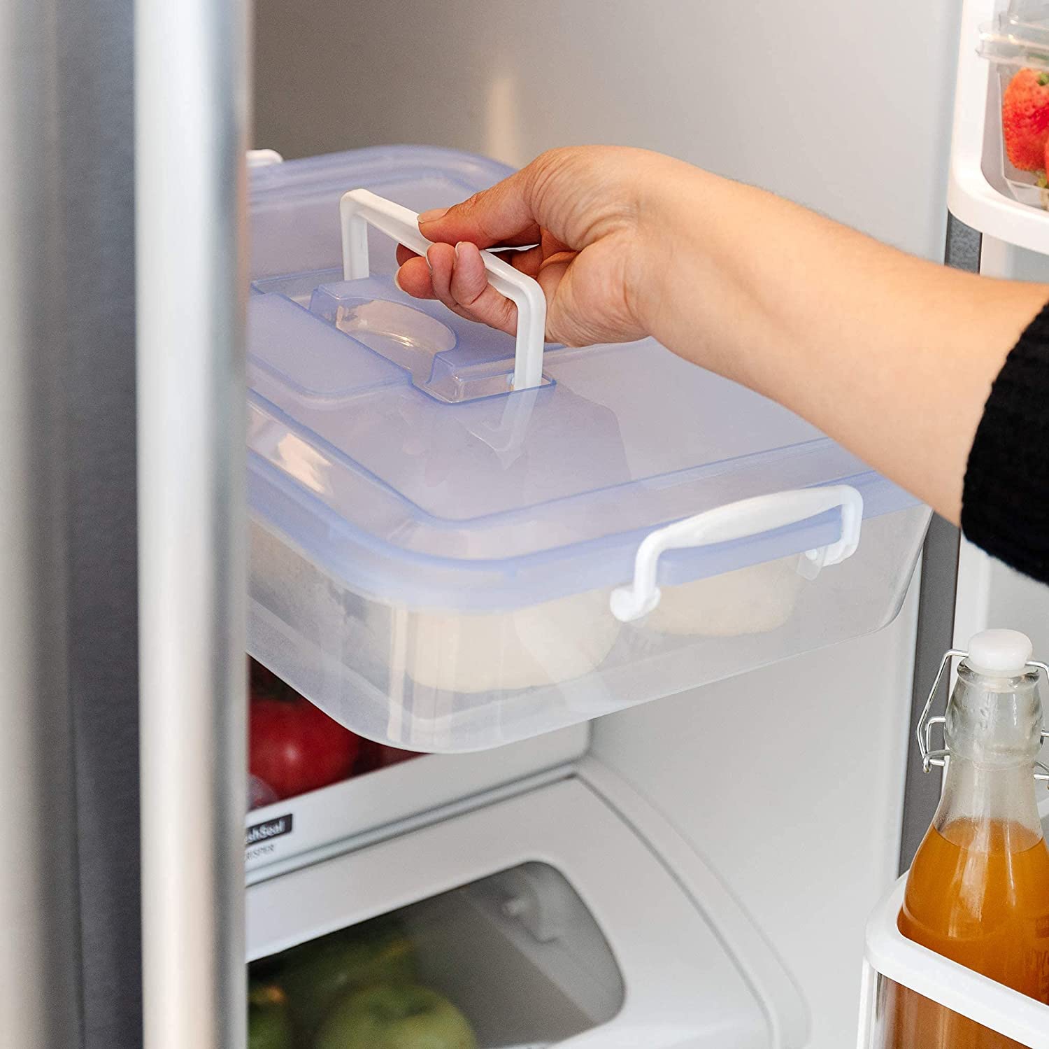 Chef Pomodoro Dough Proofing Box, 15 x 11-Inch, Fit 4-6 Dough Balls, Household Pizza Dough Tray Kit