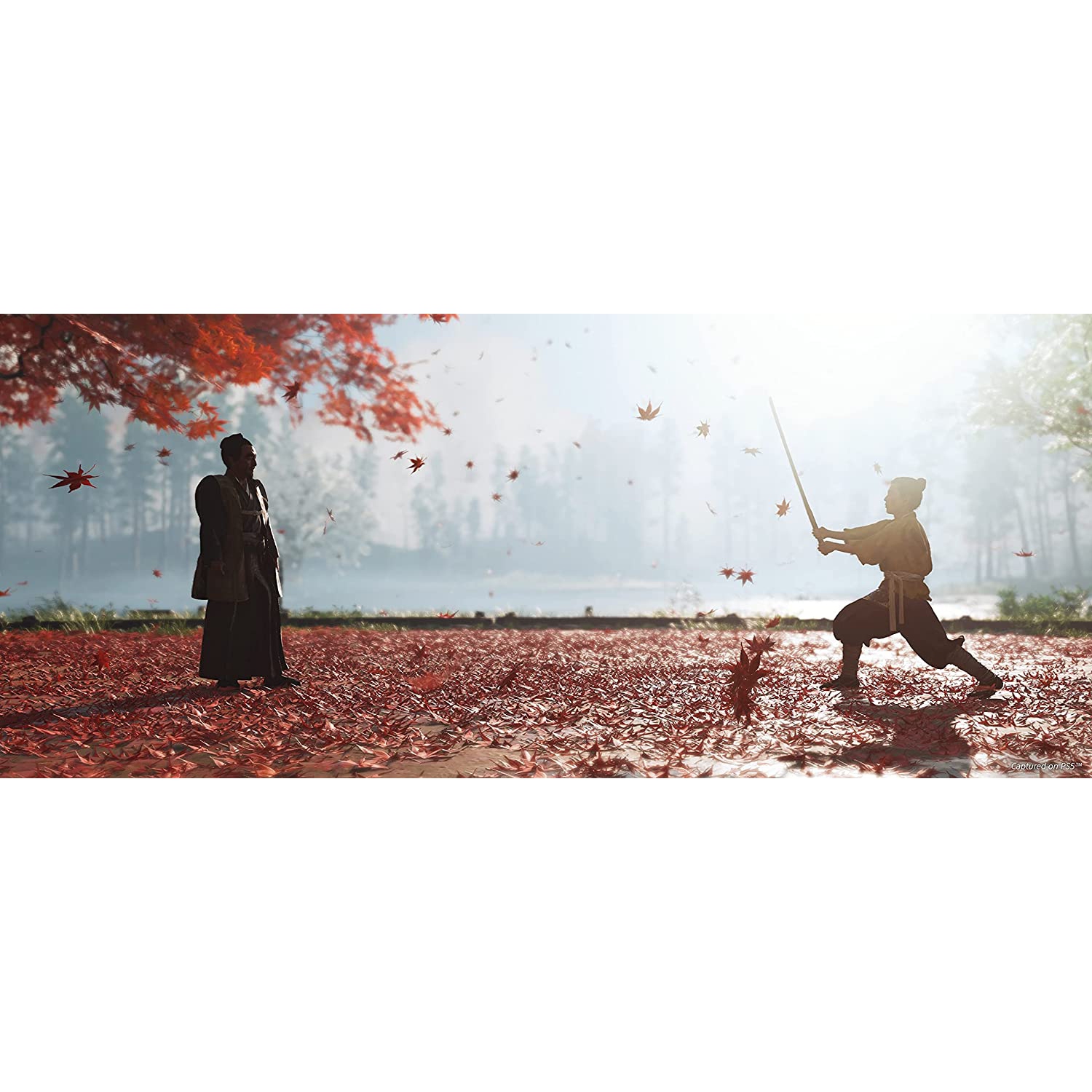 Ghost of Tsushima Director’s Cut – PlayStation 4 - Director’s Cut Edition