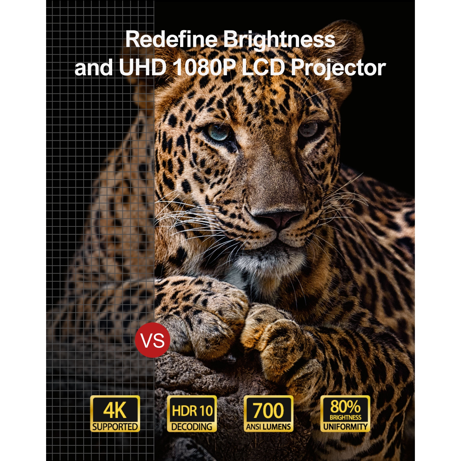 UHD 101: Demystifying 4K, UHD Blu Ray, wide color gamut, HDR, 4:4:4, 1 -  Acoustic Frontiers LLC