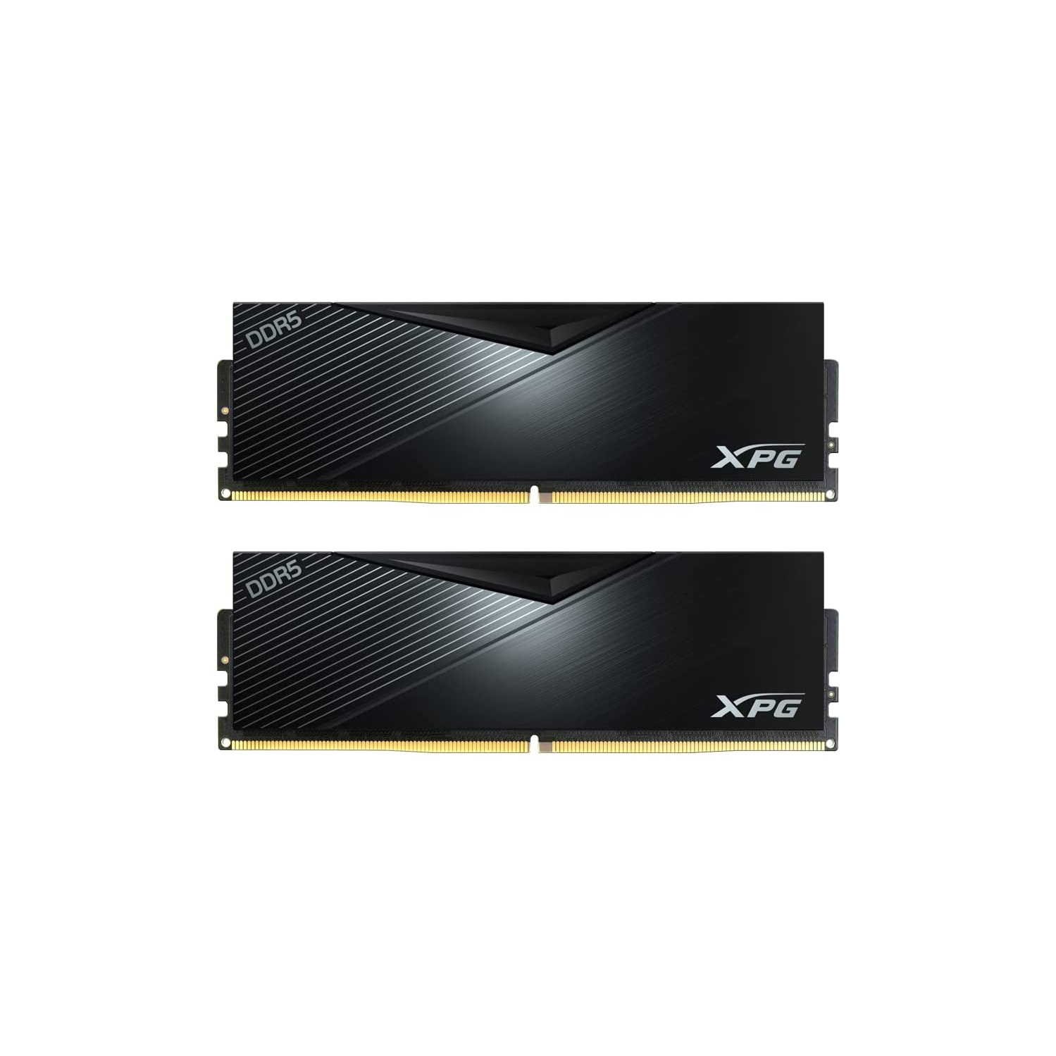 Xpg Ddr5 - Where to Buy at the Best Price in the Canada?