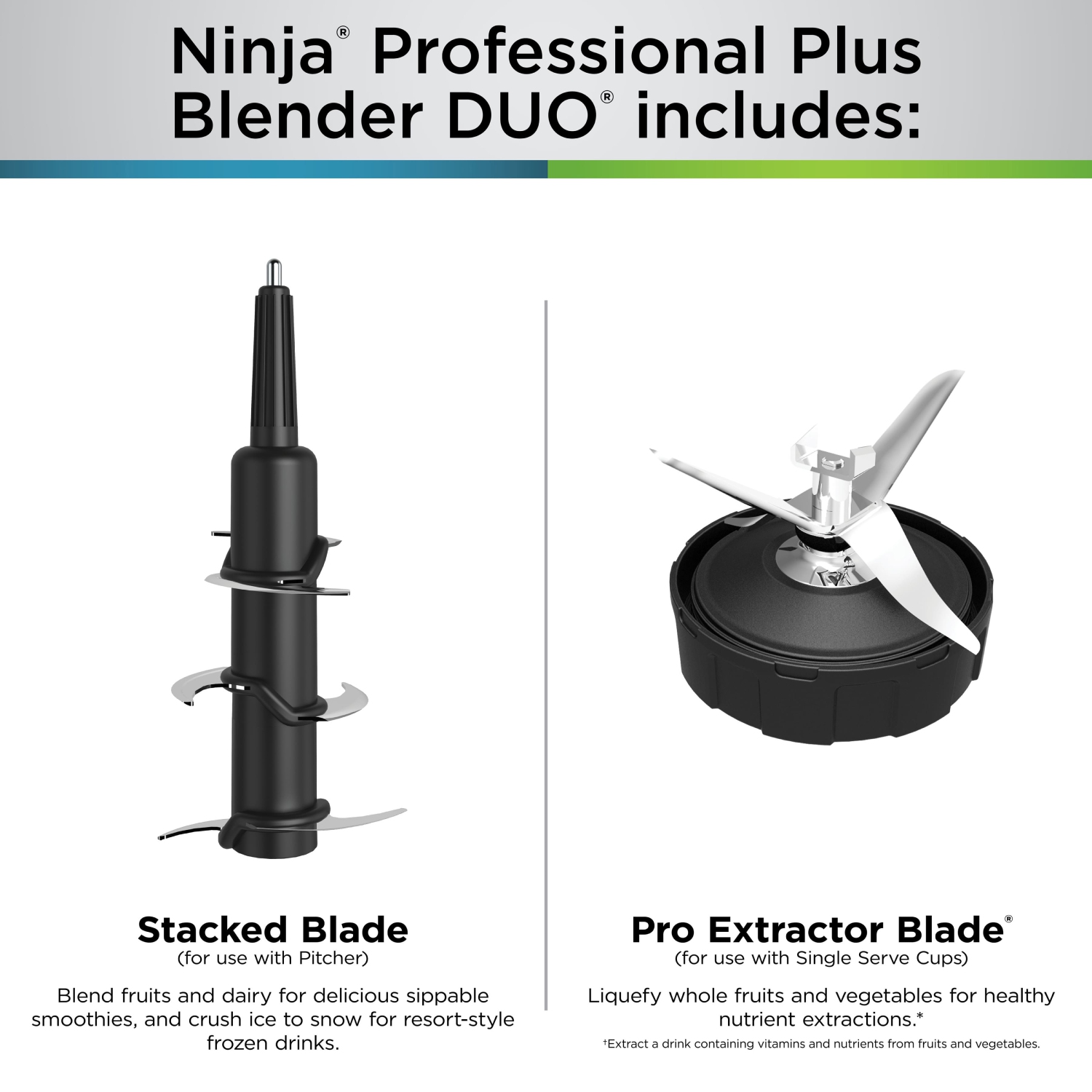 Ninja® Professional Plus Blender DUO® with Auto-iQ®