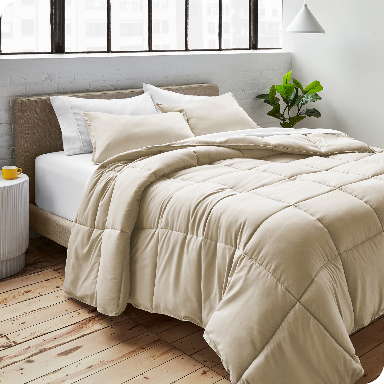 ENS. Édredon Bare Home - duvet d'oie - Ultra-doux - Hypoallergénique - chaleur toutes saisons - très grand lit/très grand lit californien, sable