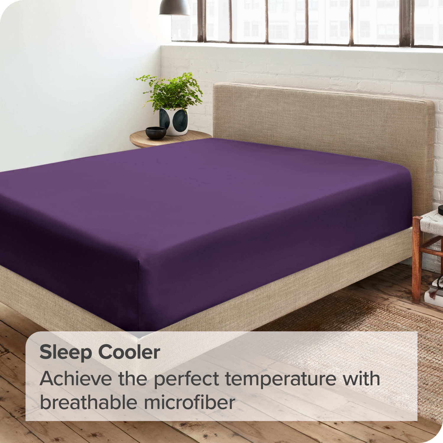 Bare Home Fitted Bottom Sheet - Premium 1800 Ultra-Soft Wrinkle Resistant Microfiber - Hypoallergenic - Deep Pocket - Queen, Plum