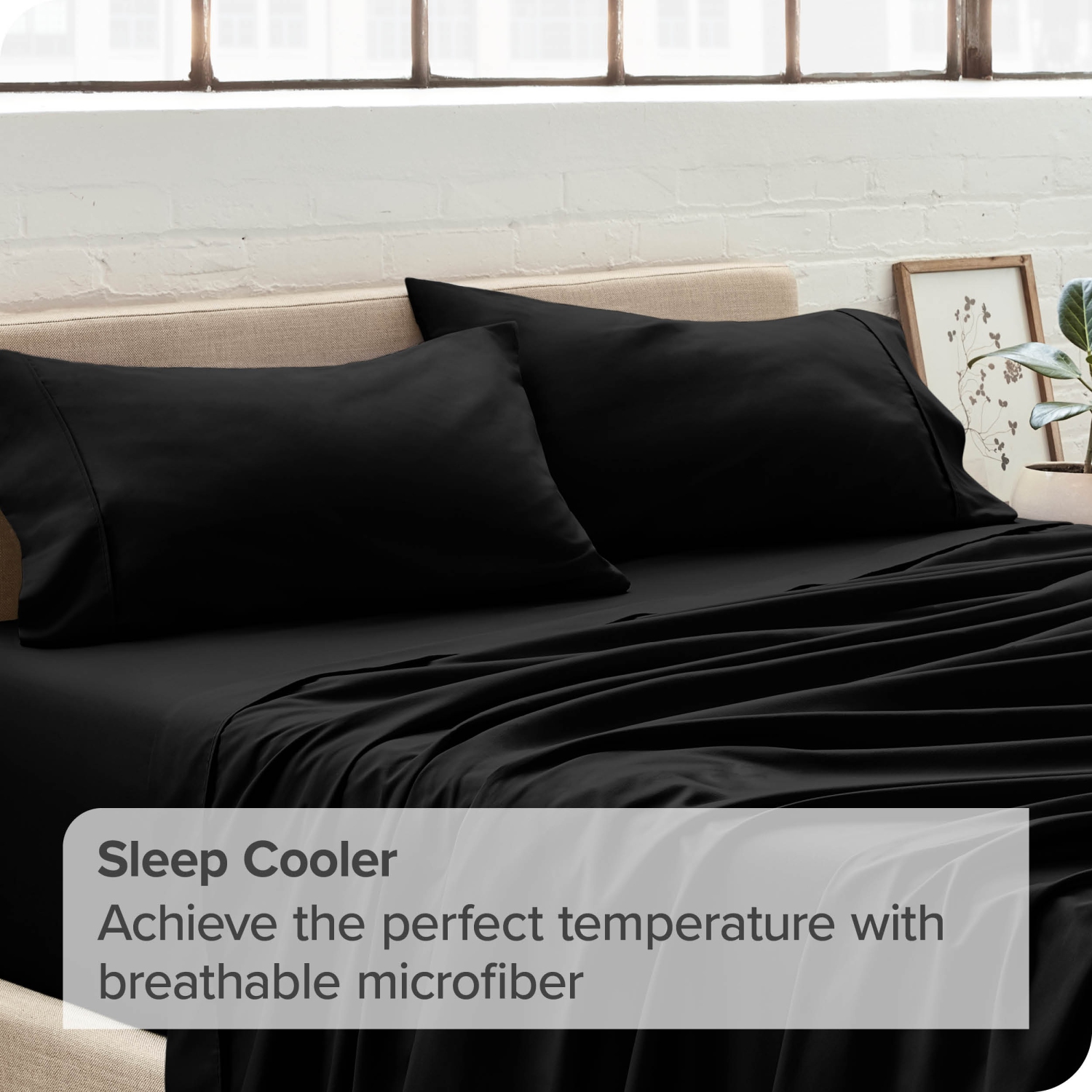 ENS. De taies d’oreiller en microfibre ultradouce 1800 de Bare Home - double brossé - Hypoallergénique - résistant aux plis - Standard, noir