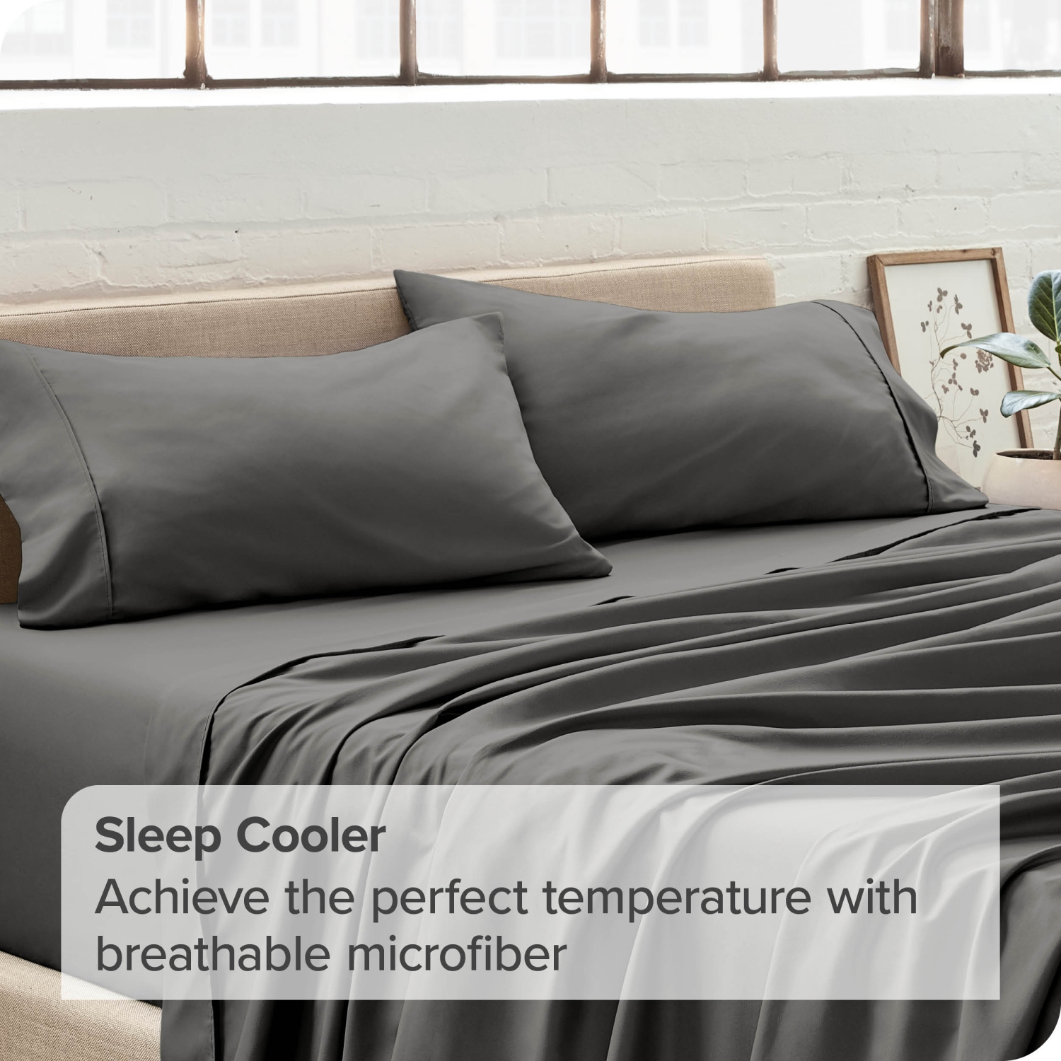 ENS. De taies d’oreiller en microfibre ultradouce 1800 de Bare Home - double brossé - Hypoallergénique - résistant aux plis - très grand lit, gris