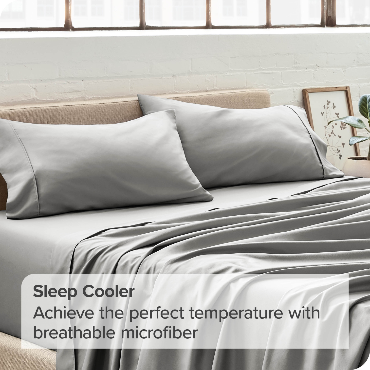 Duo de taies d’oreiller en microfibre ultradouce 1800 de Bare Home - double brossé - Hypoallergénique - résistance aux plis - Standard - Gris pâle