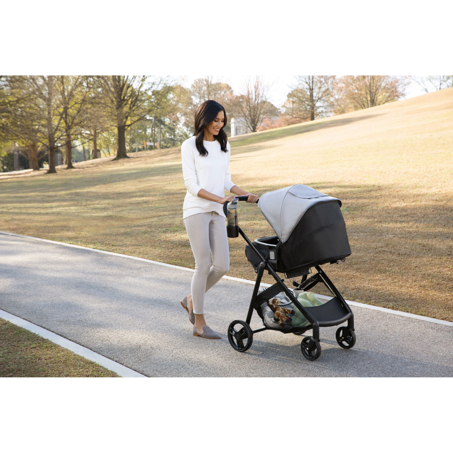 graco basix travel system