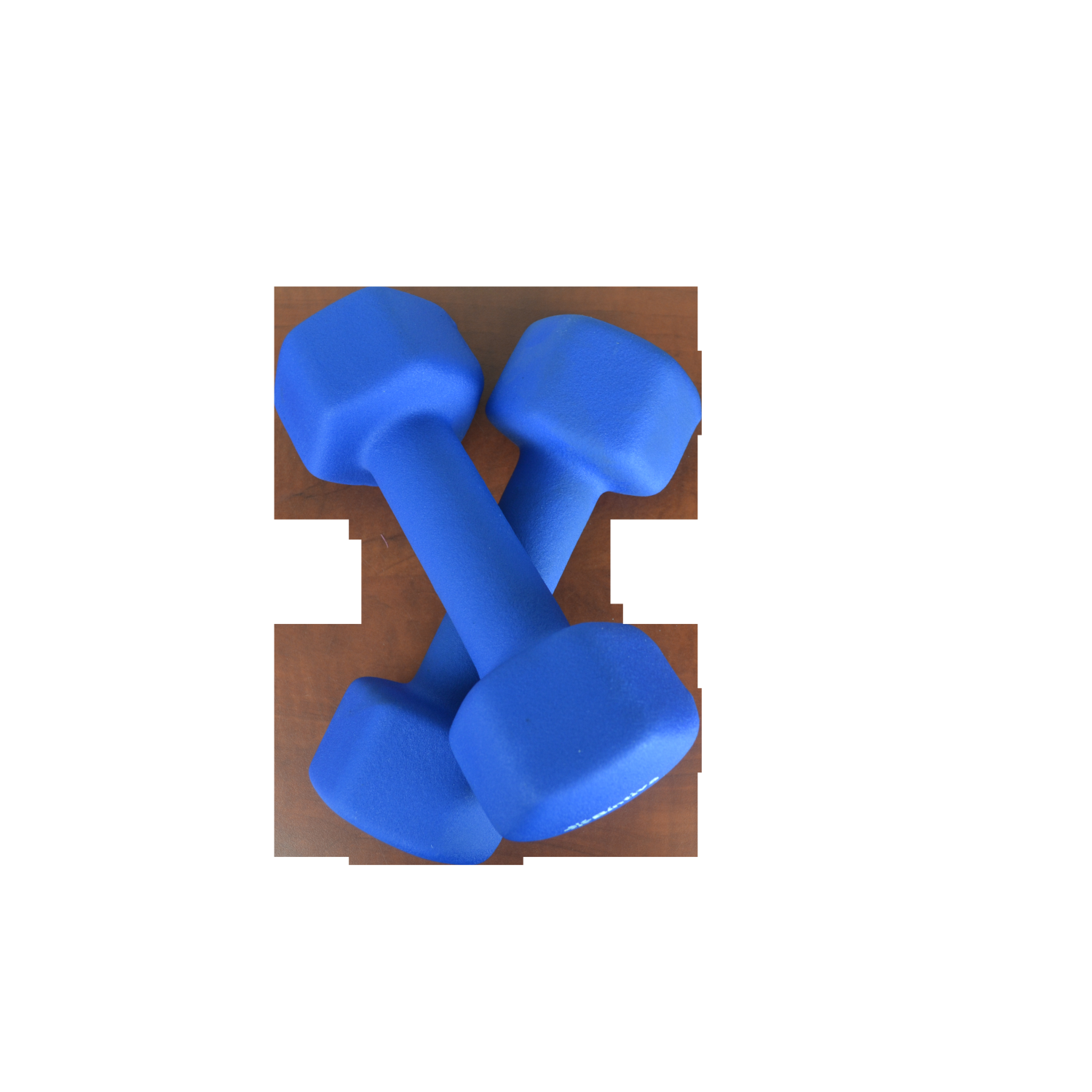 10 LB Neoprene Coated Dumbbells