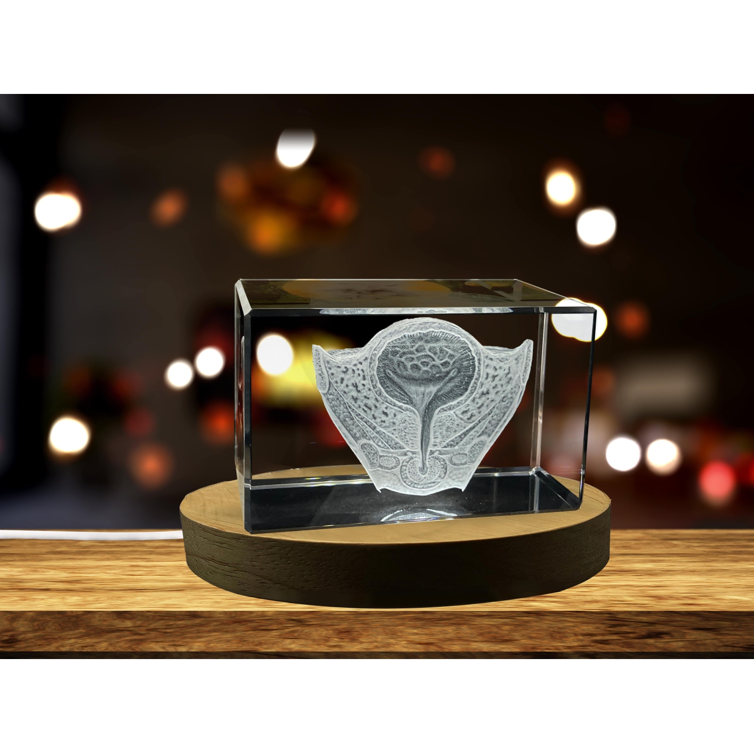 Urinary bladder | 3D Engraved Crystal Keepsake | Gift For Urologists | Doctor Gift | Souvenir | personalized 3D crystal photo gift |Customized 3d photo Engraved Crystal
