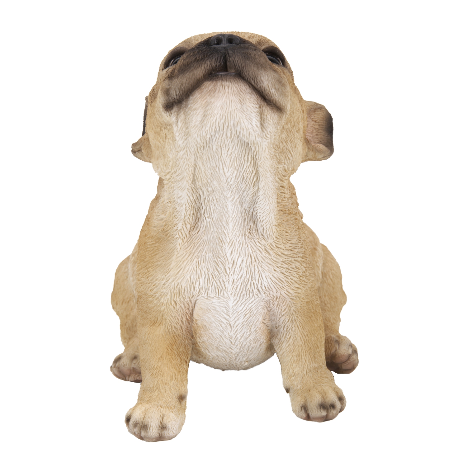 Hi-Line Gift Ltd French Bulldog Puppy Howling