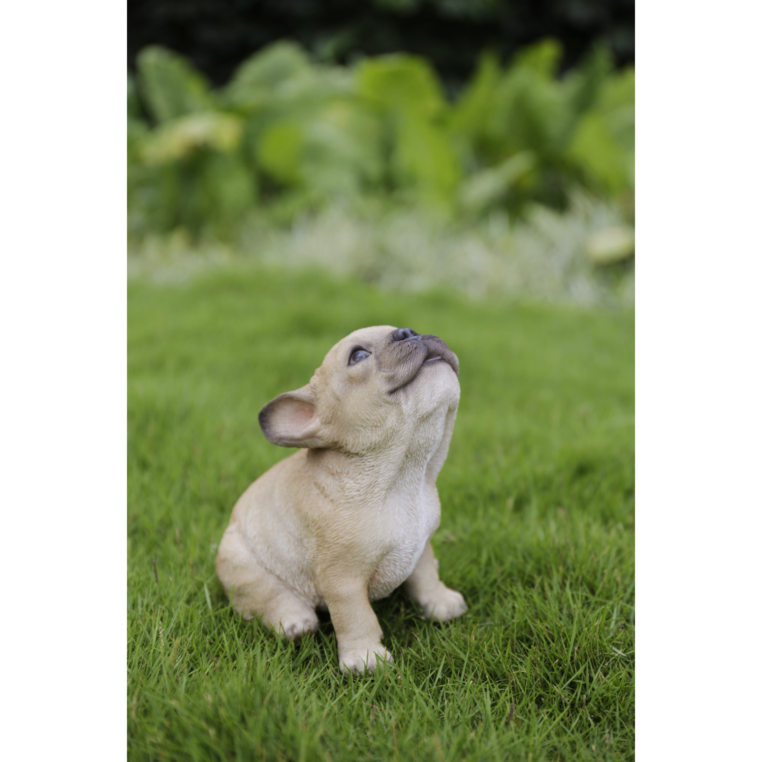 Hi-Line Gift Ltd French Bulldog Puppy Howling