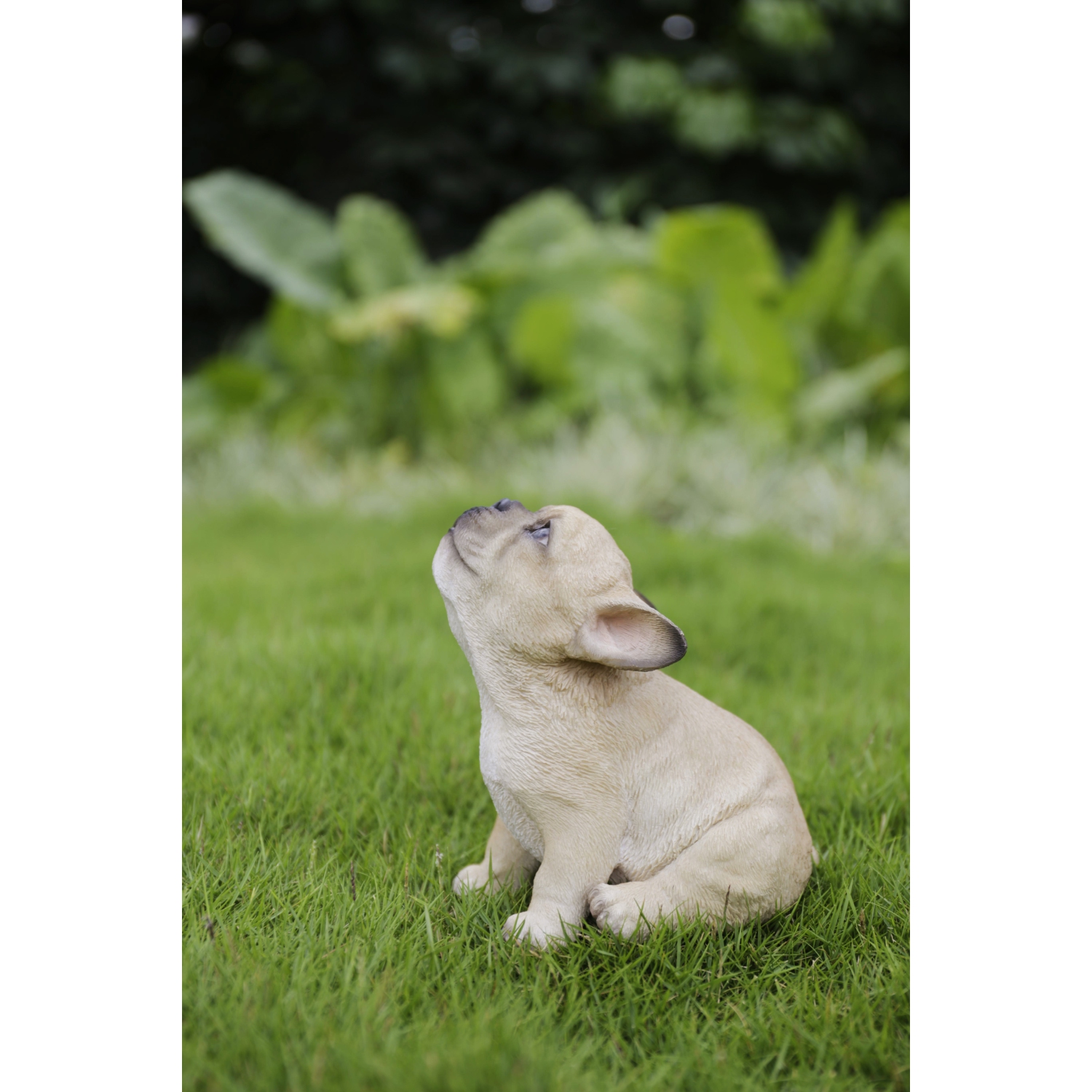 Hi-Line Gift Ltd French Bulldog Puppy Howling