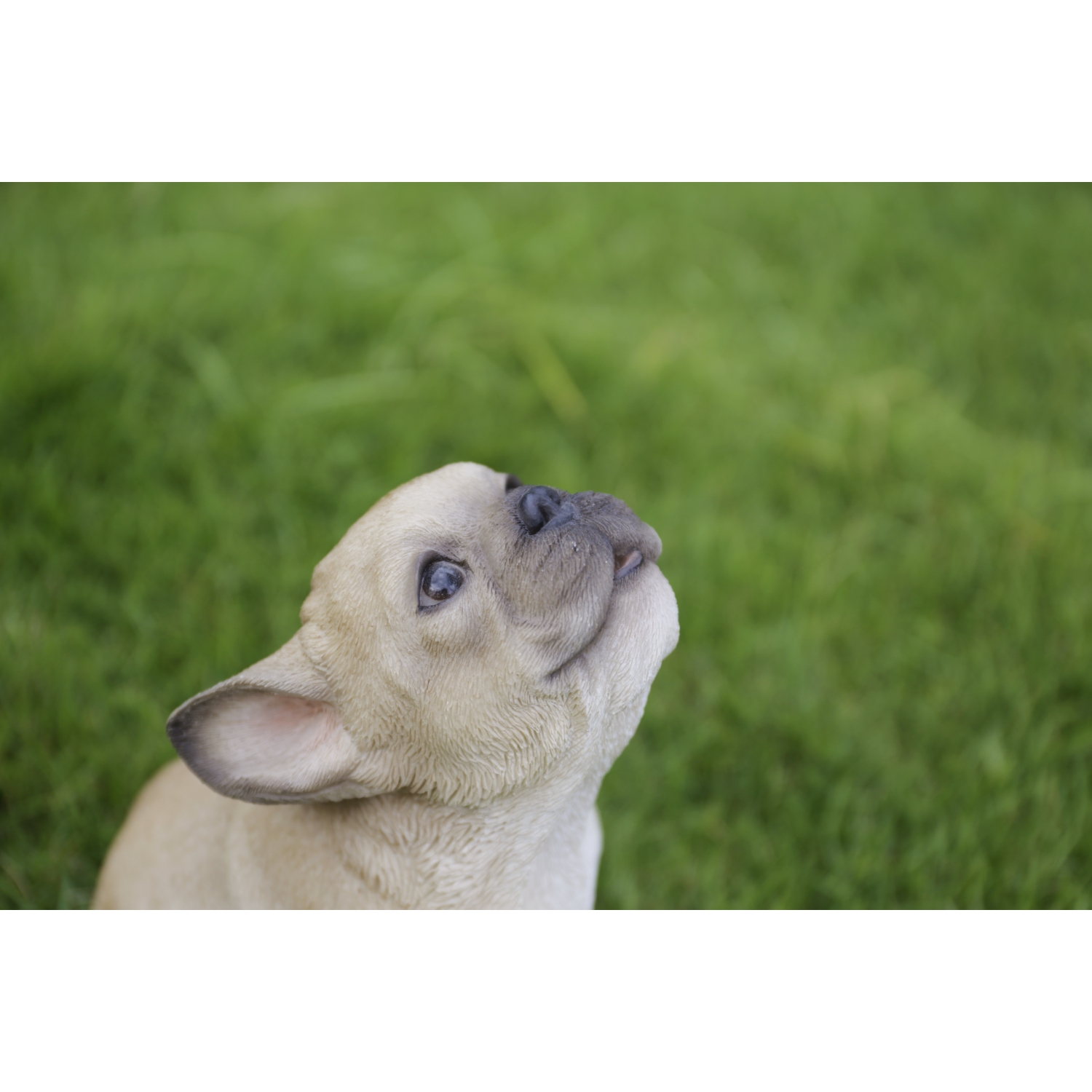 Hi-Line Gift Ltd French Bulldog Puppy Howling