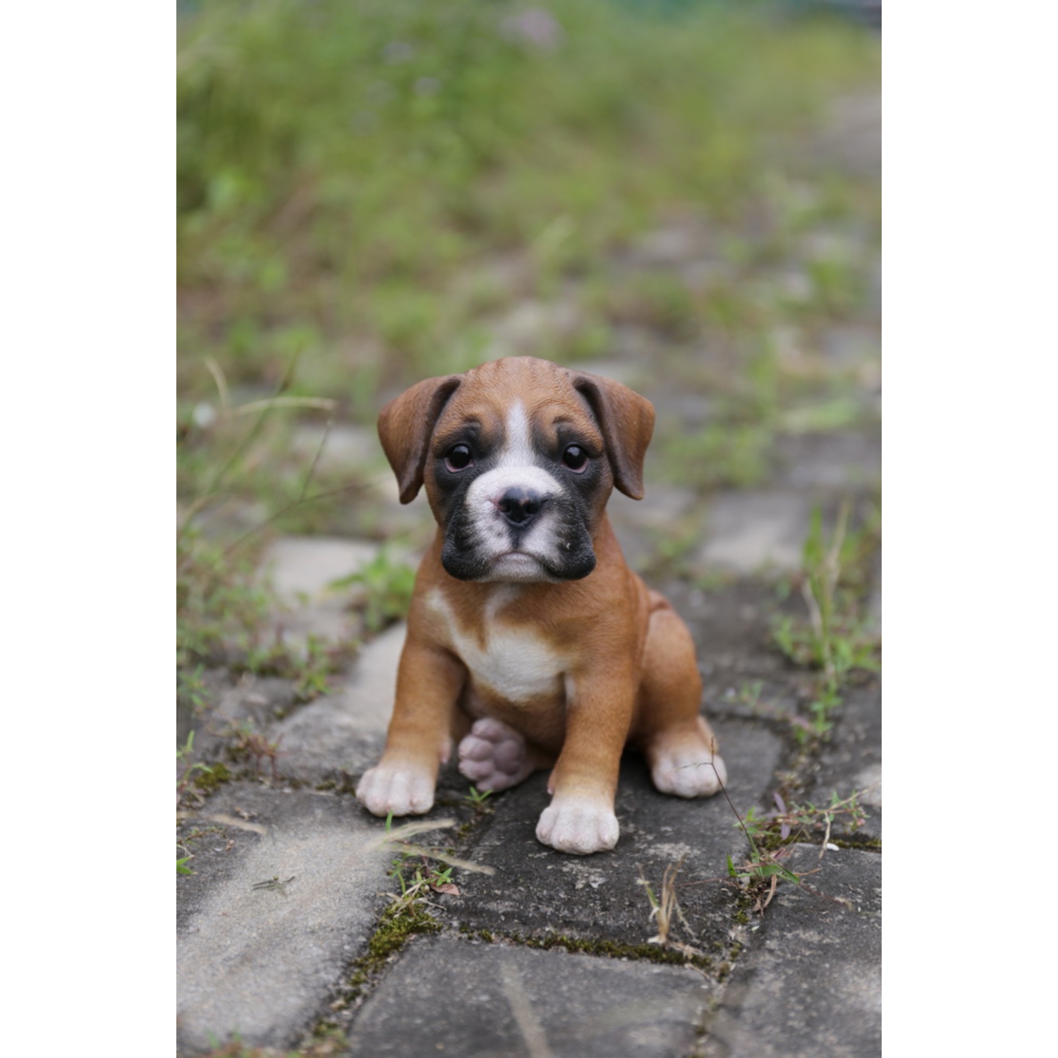 Hi-Line Gift Ltd Boxer Puppy