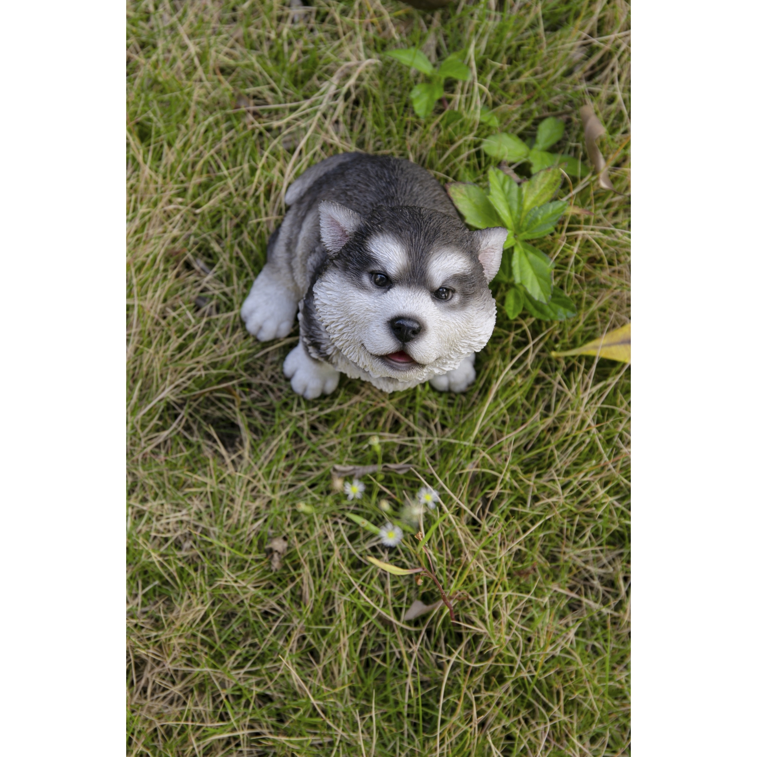 Hi-Line Gift Ltd Alaskan Malamute Puppy Howling