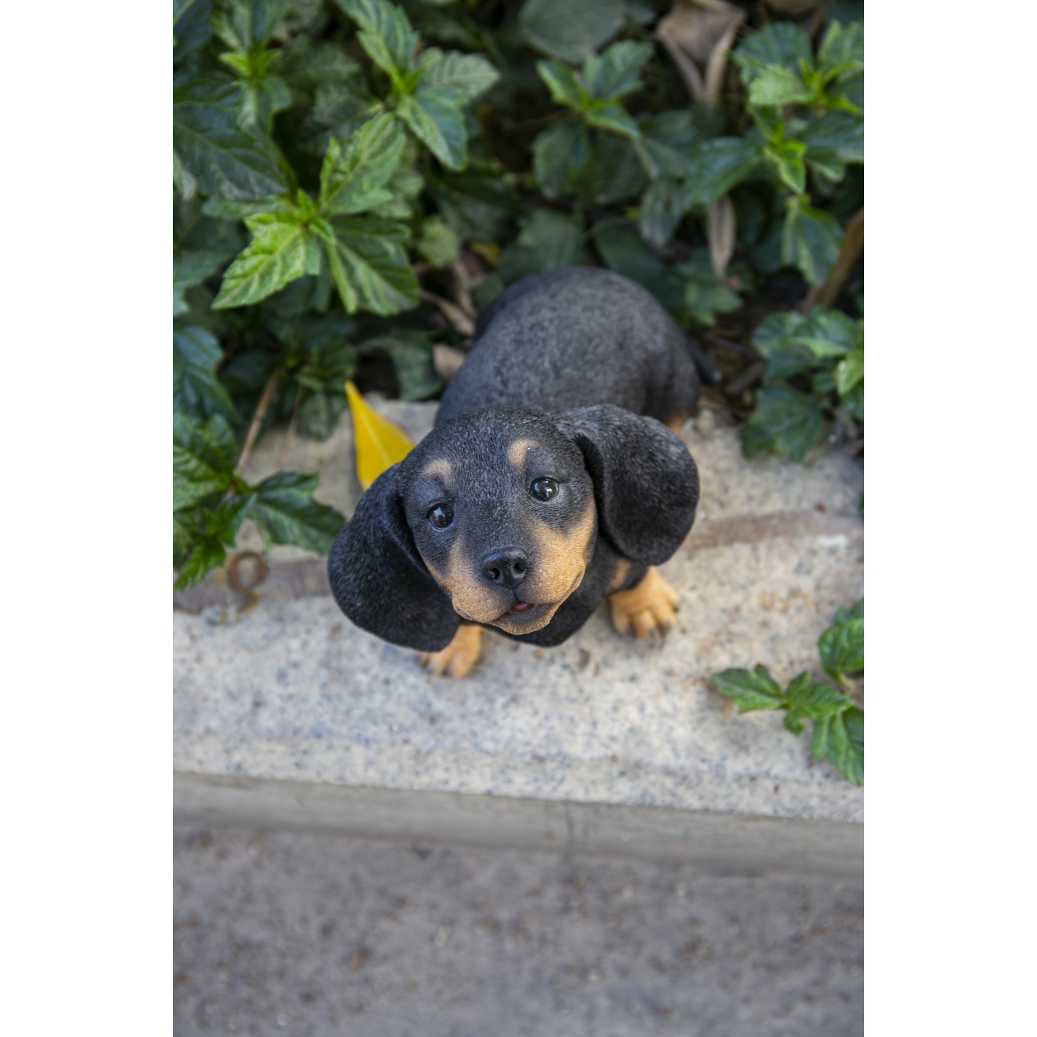 Hi-Line Gift Ltd Howling Dachshund Puppy Garden Statue