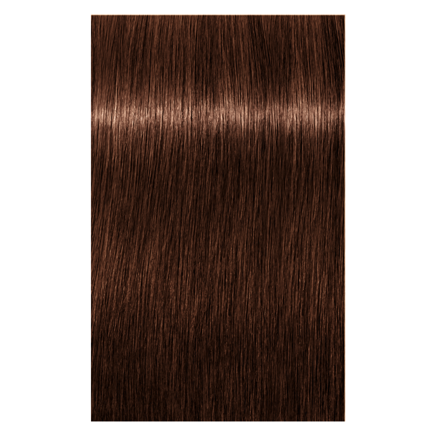 Schwarzkopf Igora Royal 6-68 DARK BLONDE CHOCOLATE RED, 60g