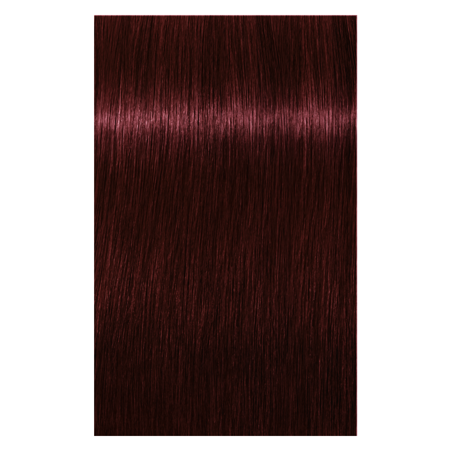 Schwarzkopf Igora Royal 4-88 MEDIUM BROWN RED EXTRA, 60g | Best Buy Canada Schwarzkopf Igora Royal 4-88 MEDIUM BROWN RED EXTRA, 60g | Best Buy Canada