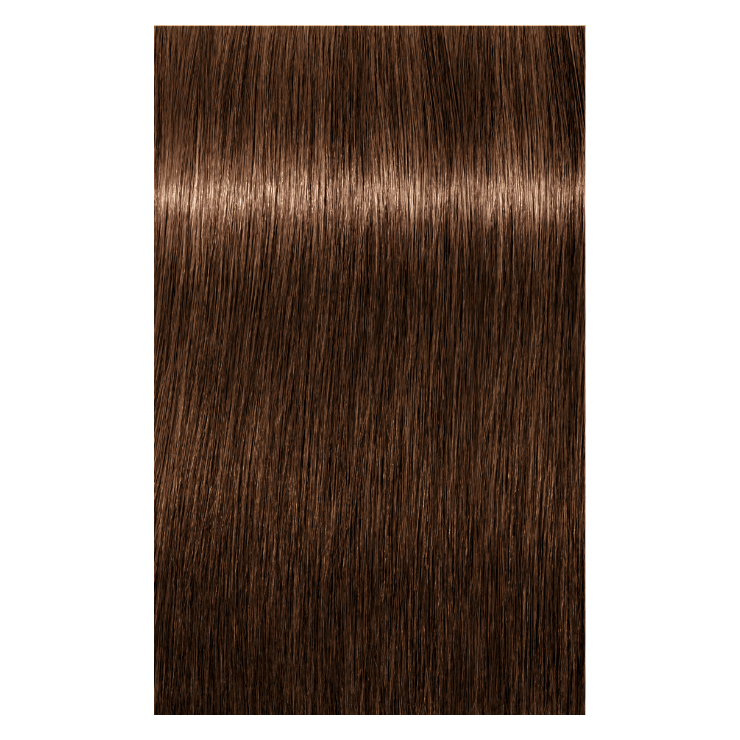 Schwarzkopf Igora Royal 6-65 DARK BLONDE CHOCOLATE GOLD, 60g