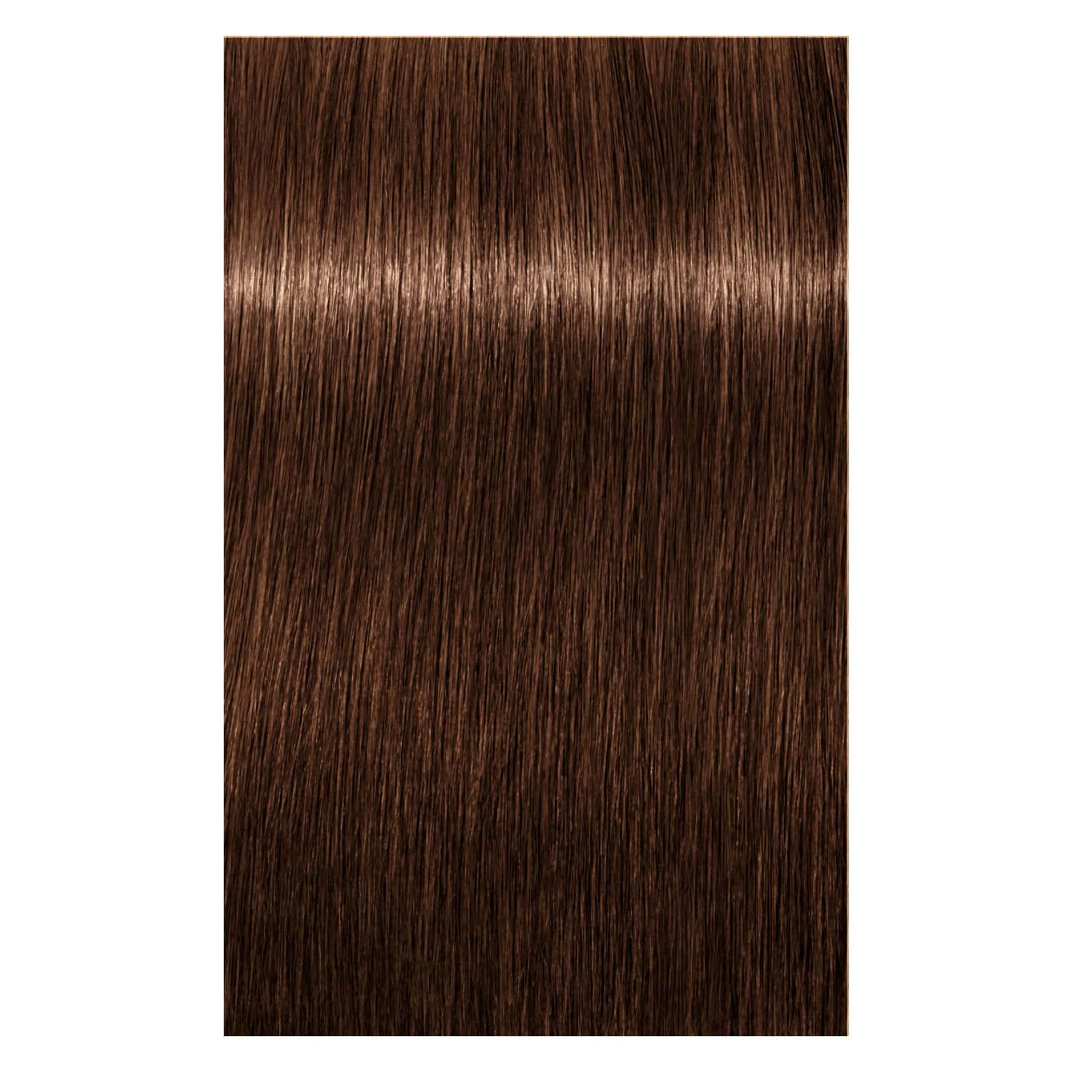 Schwarzkopf Igora Royal 6-6 DARK BLONDE CHOCOLATE, 60g