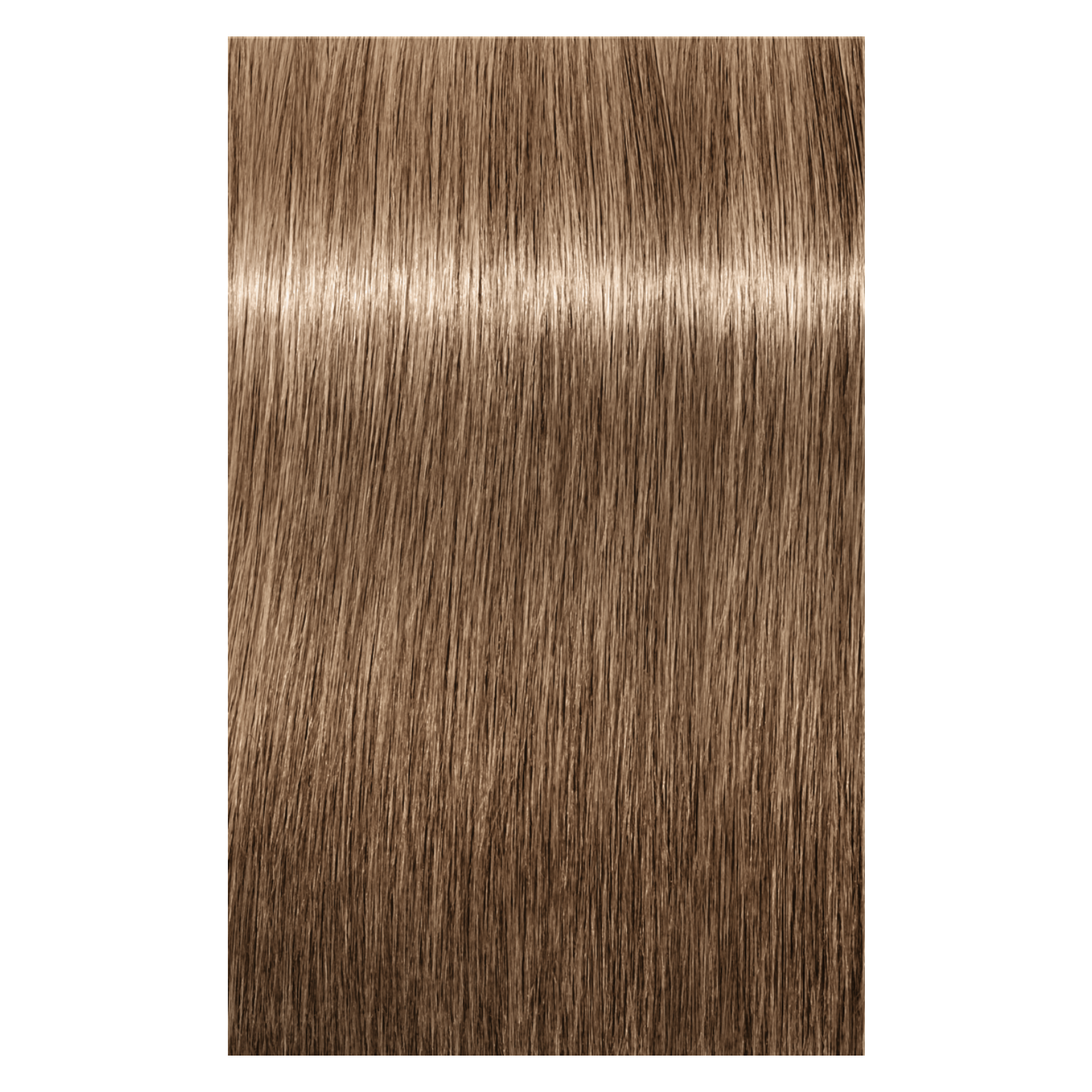 Schwarzkopf Igora Absolutes 8-01 LIGHT BLONDE NATURAL CENDRE, 60g