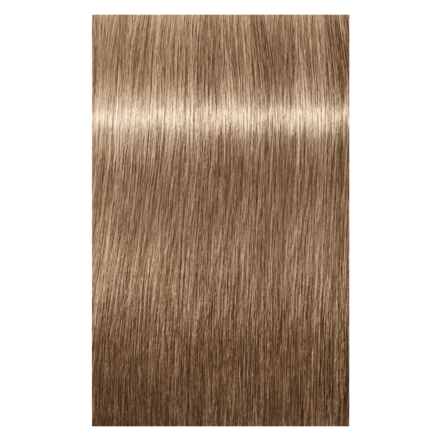 Schwarzkopf Igora absolue 8-14 BLONDE CLAIR BEIGE CENDRE, 60 g.