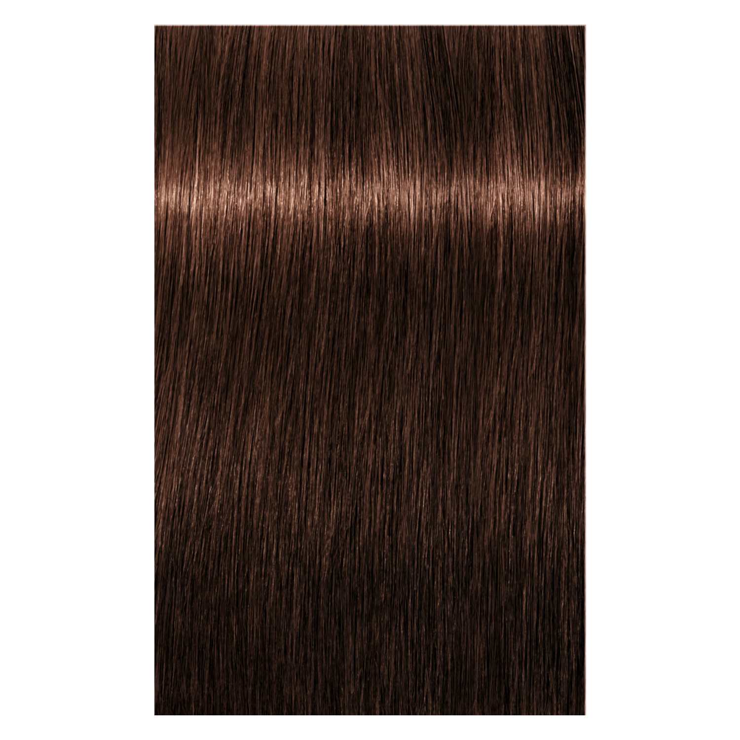 Schwarzkopf Igora Royal 5-6 LIGHT BROWN CHOCOLATE, 60g