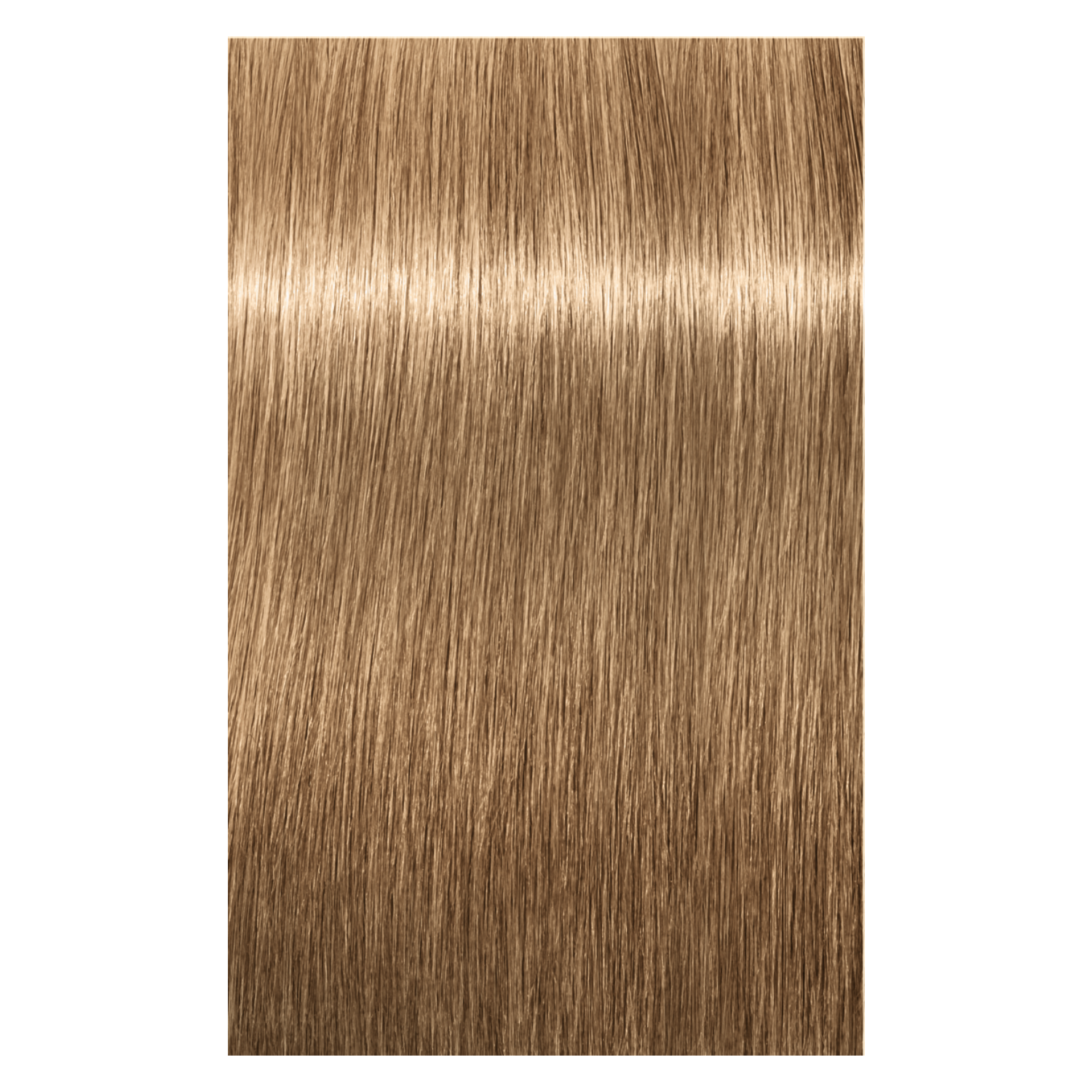 Schwarzkopf Igora Absolutes 9-40 EXTRA LIGHT BLONDE BIEGE NATURAL, 60g